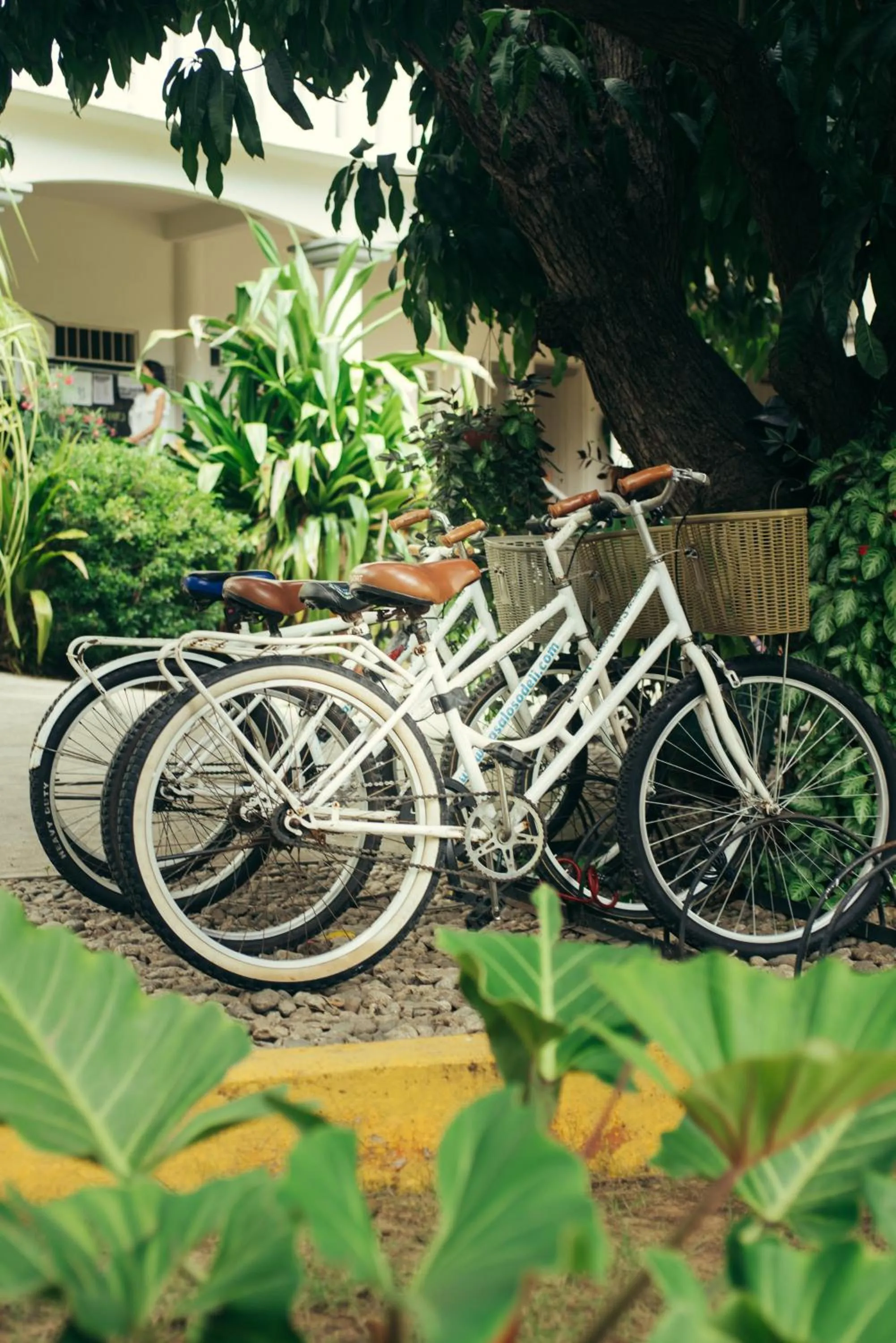 Cycling in Casa Losodeli & Coworking- Adults Only