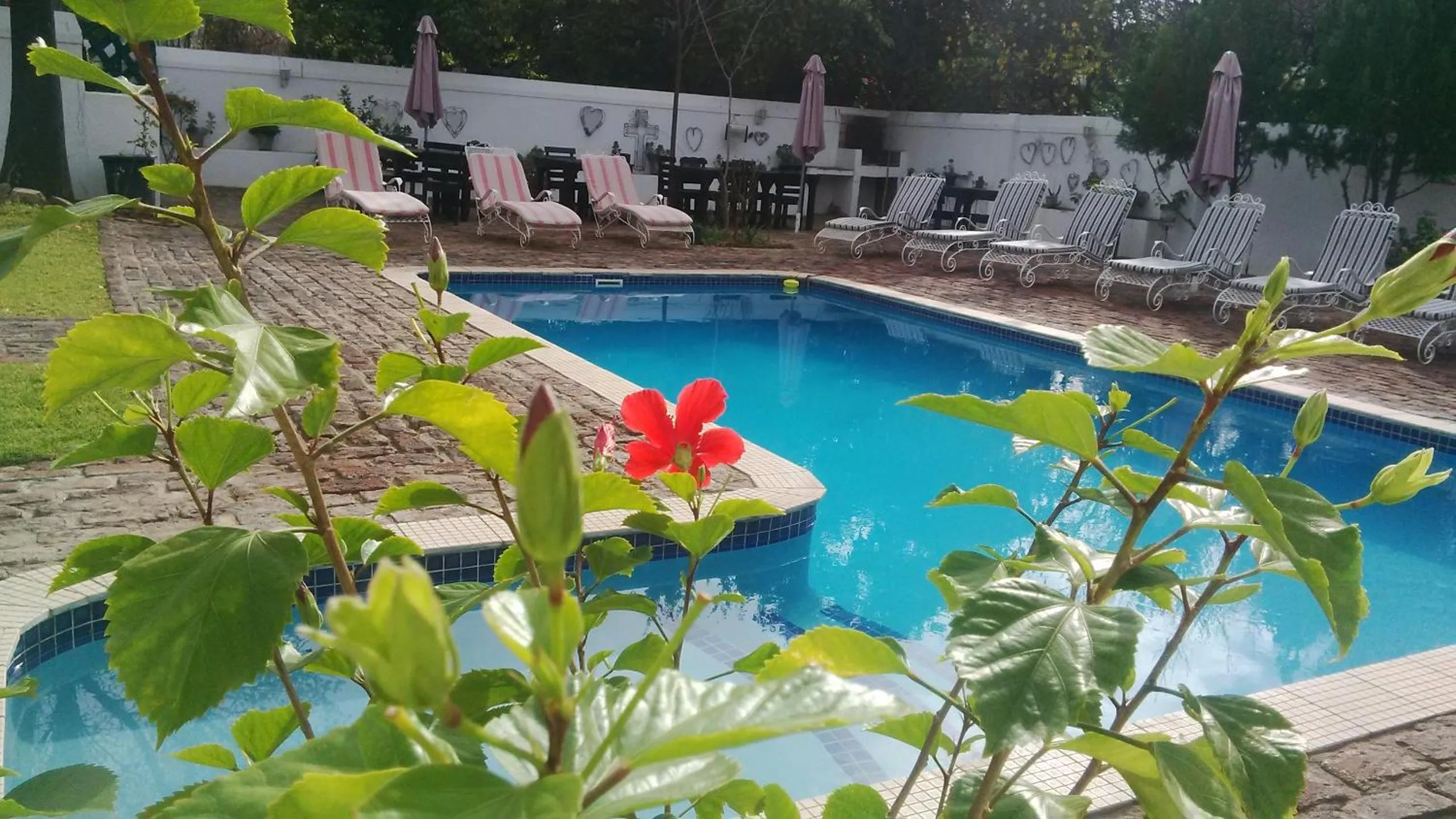 Garden in Camdeboo Cottages