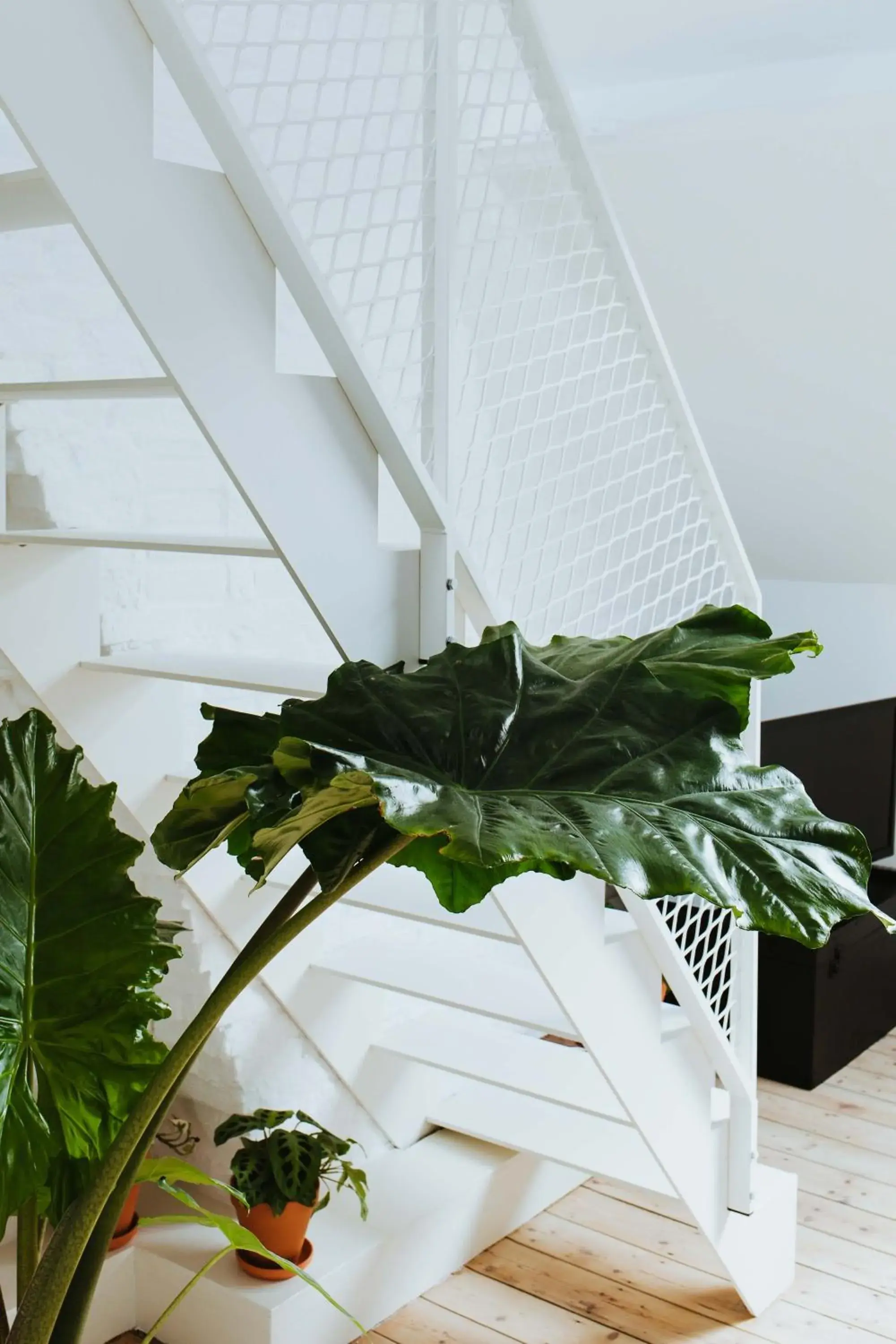 Duplex Studio in Musa Antwerp Duplex Studio in Musa Antwerp