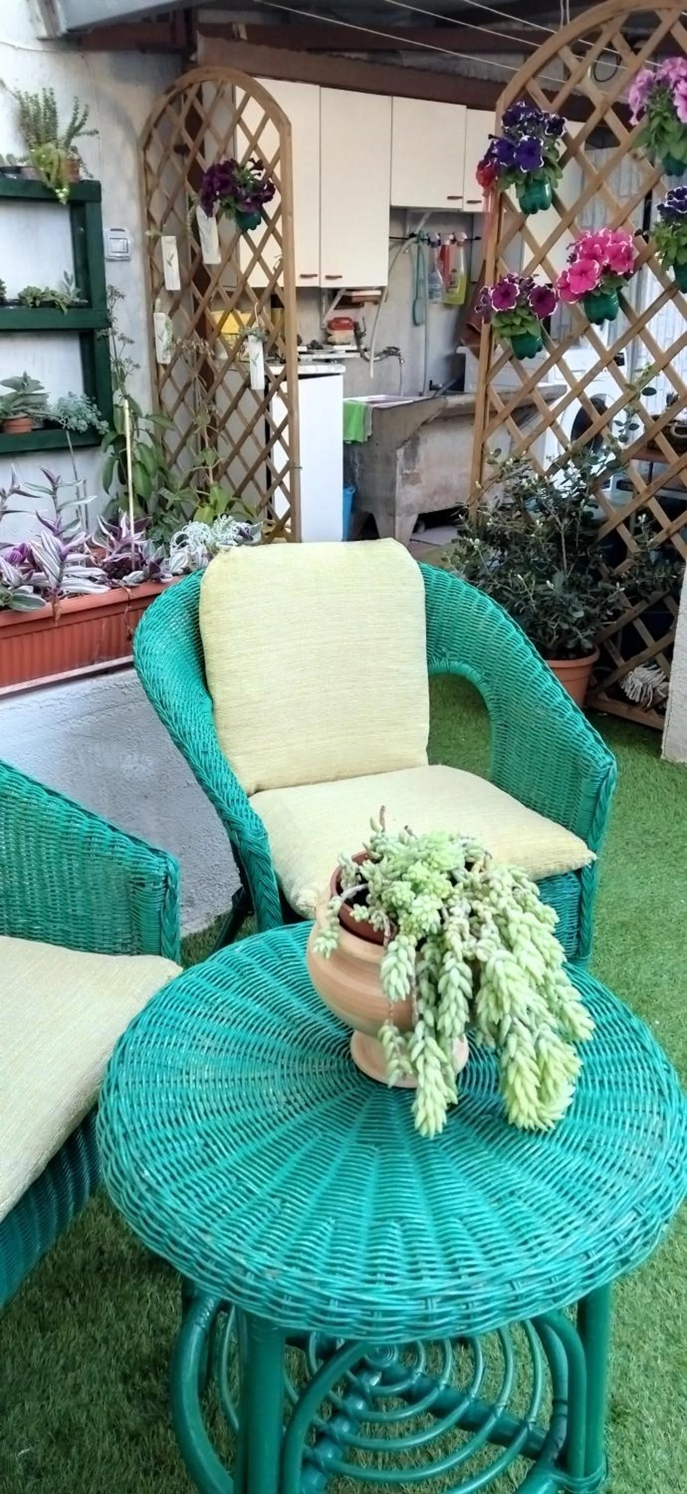 Garden view in B&B Il Mirto