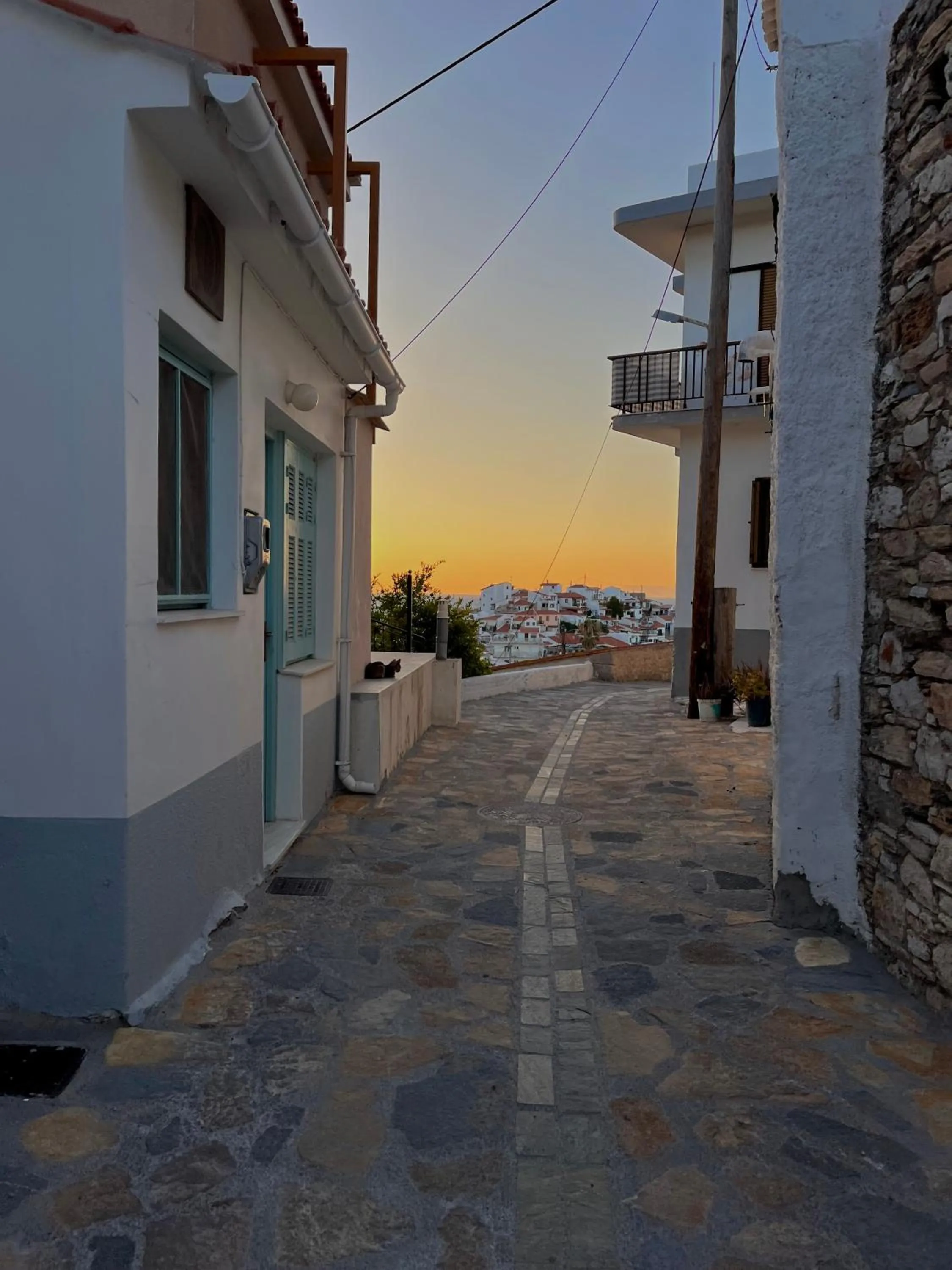 Neighbourhood in Sunrise