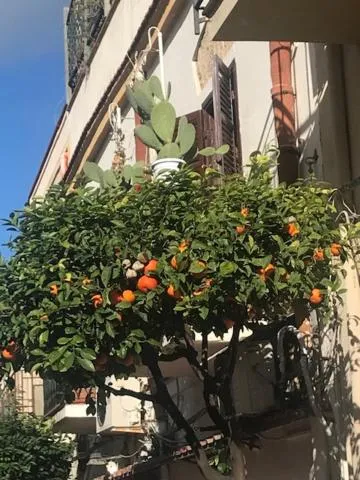 By the Sea Apartment #4