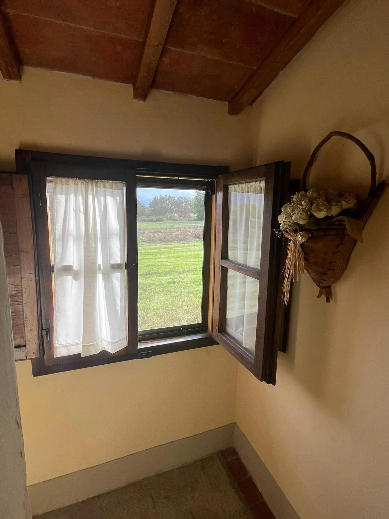 View (from property/room) in Agriturismo Podere Delle Querci