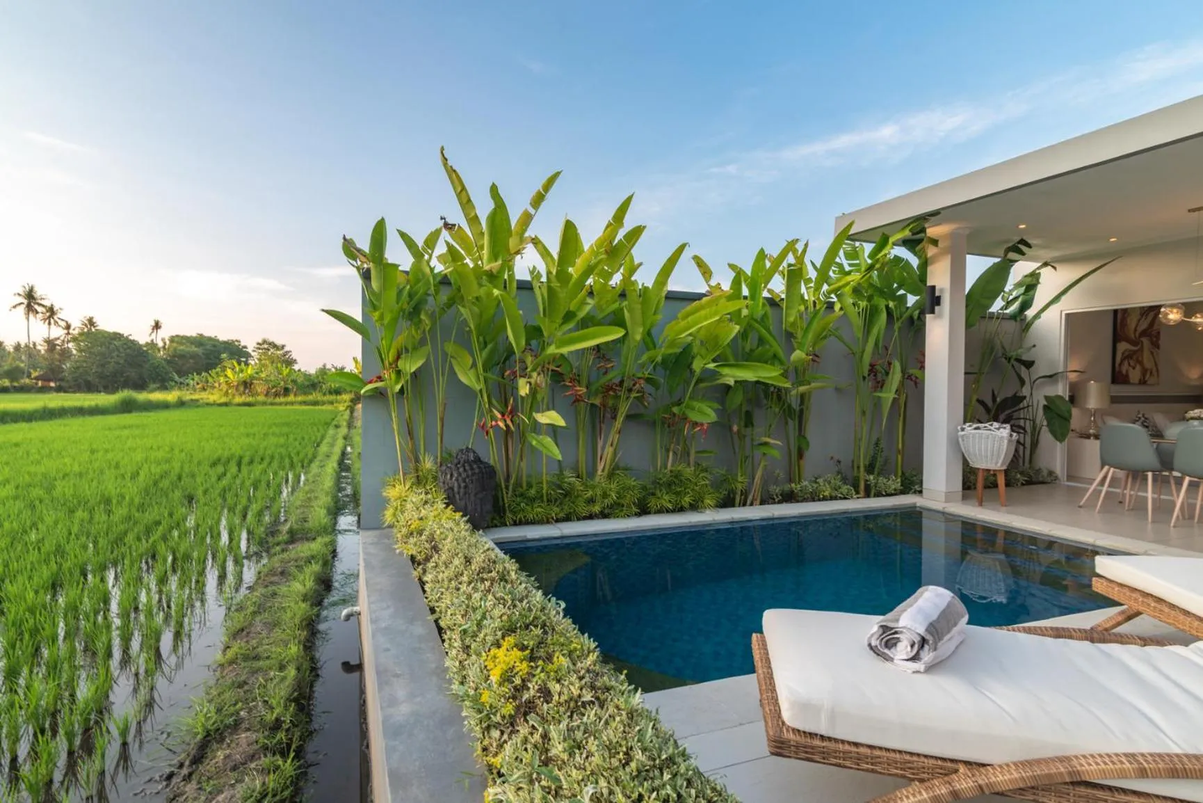 Swimming pool in Villa Shiva