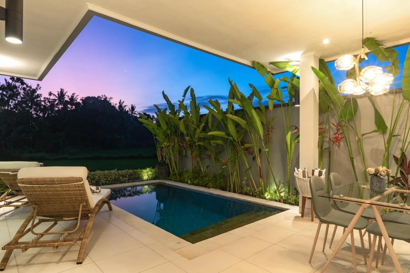 Swimming pool in Villa Shiva