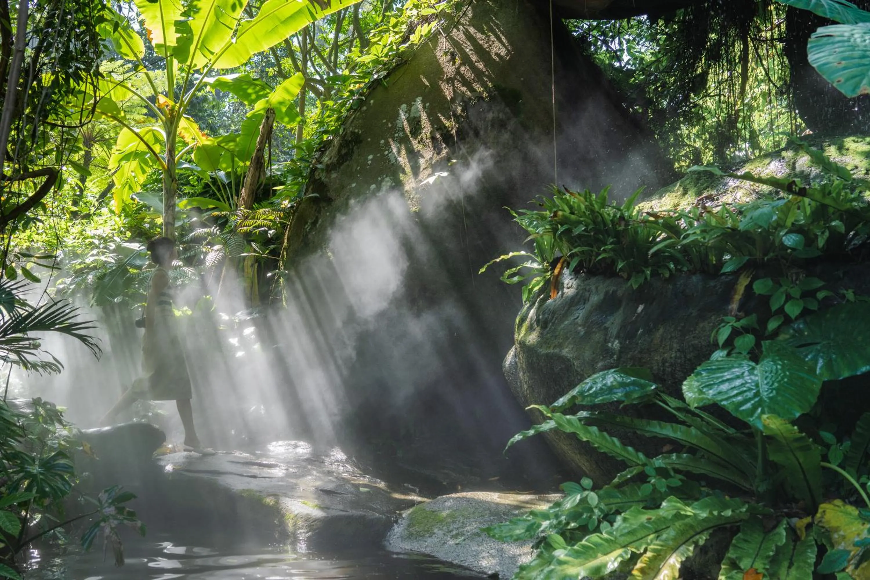 Natural landscape in W-Xiamen