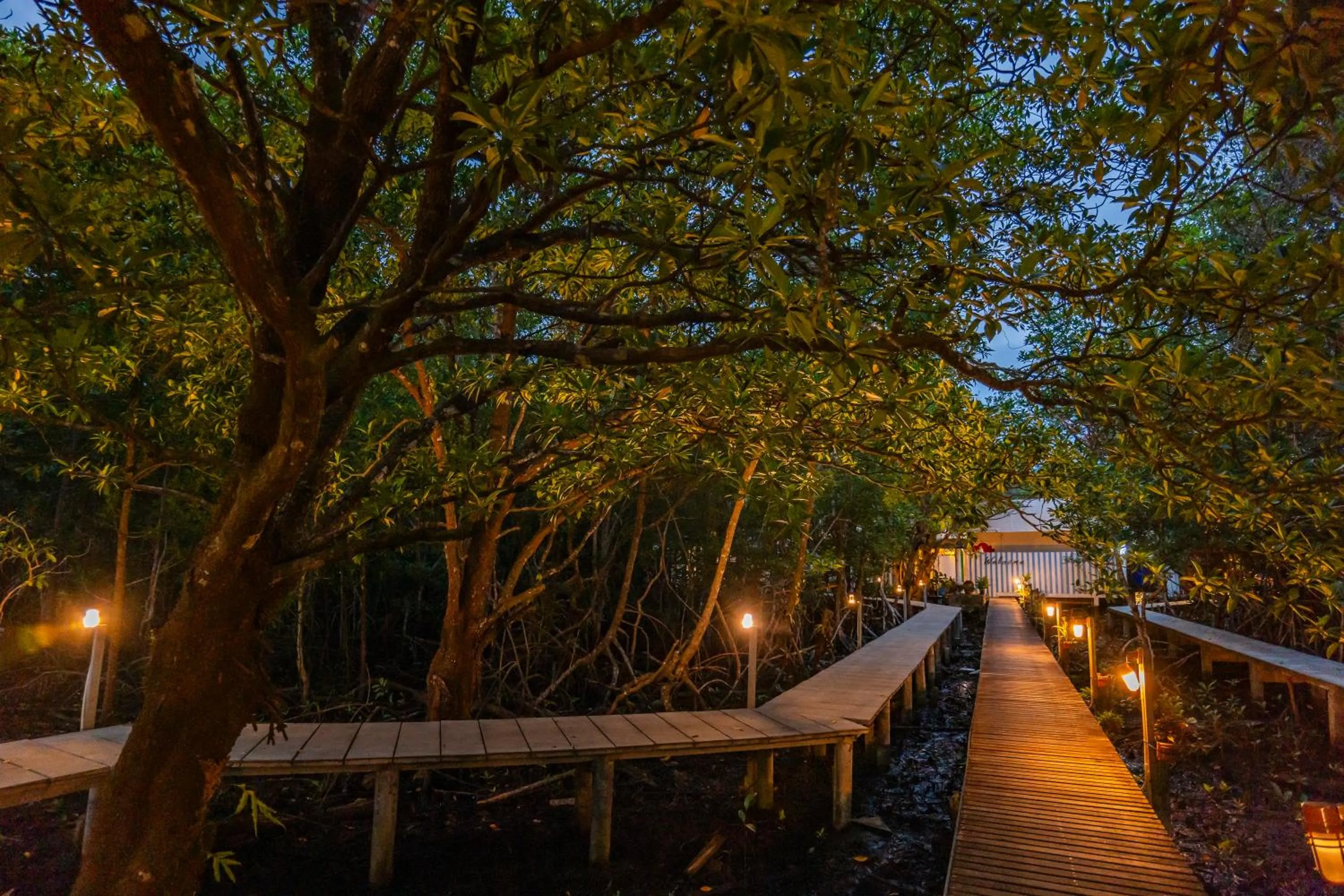 Facade/entrance in Watercolours