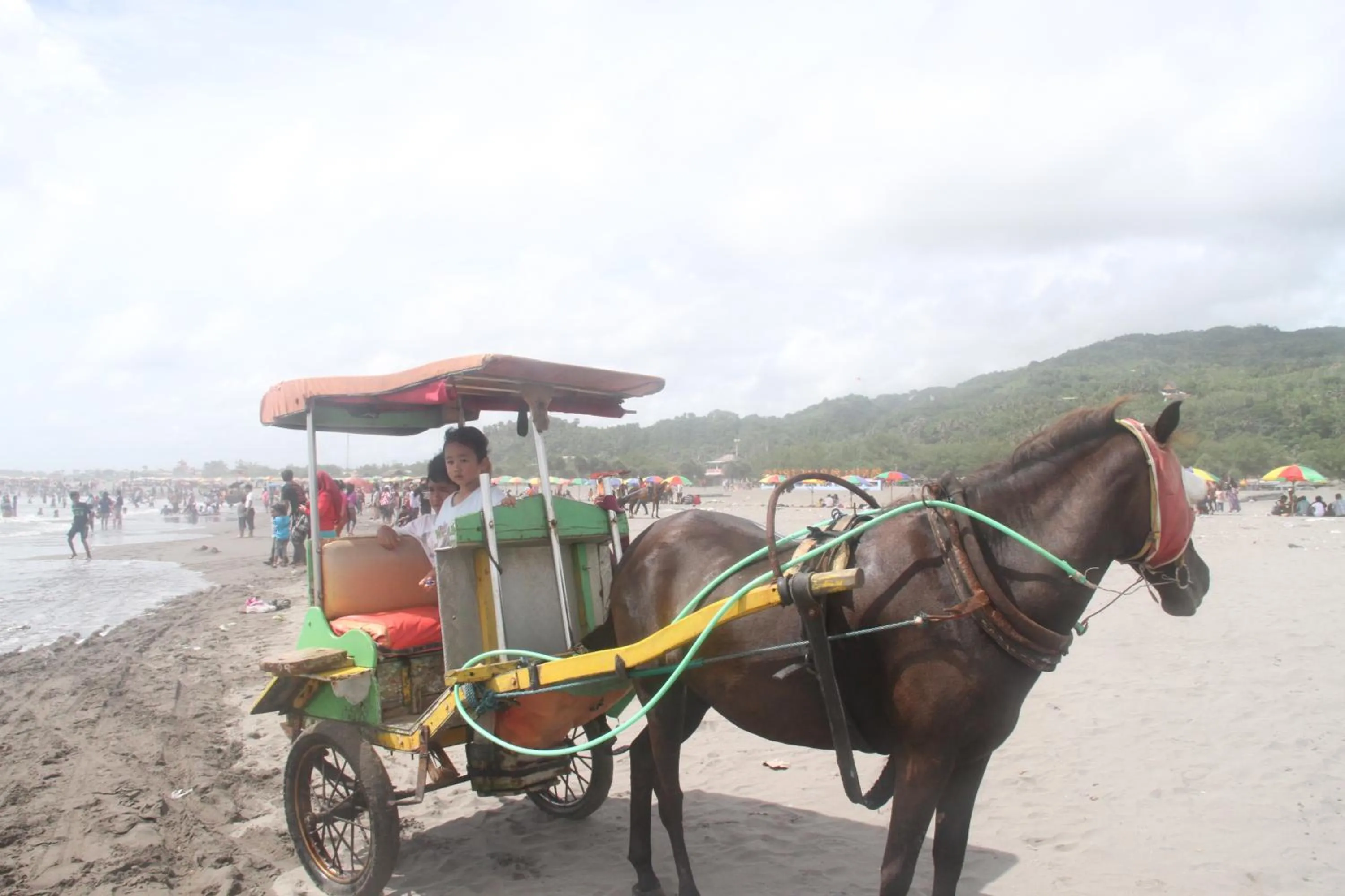 Horse-riding in Omah Garengpoeng Guest House