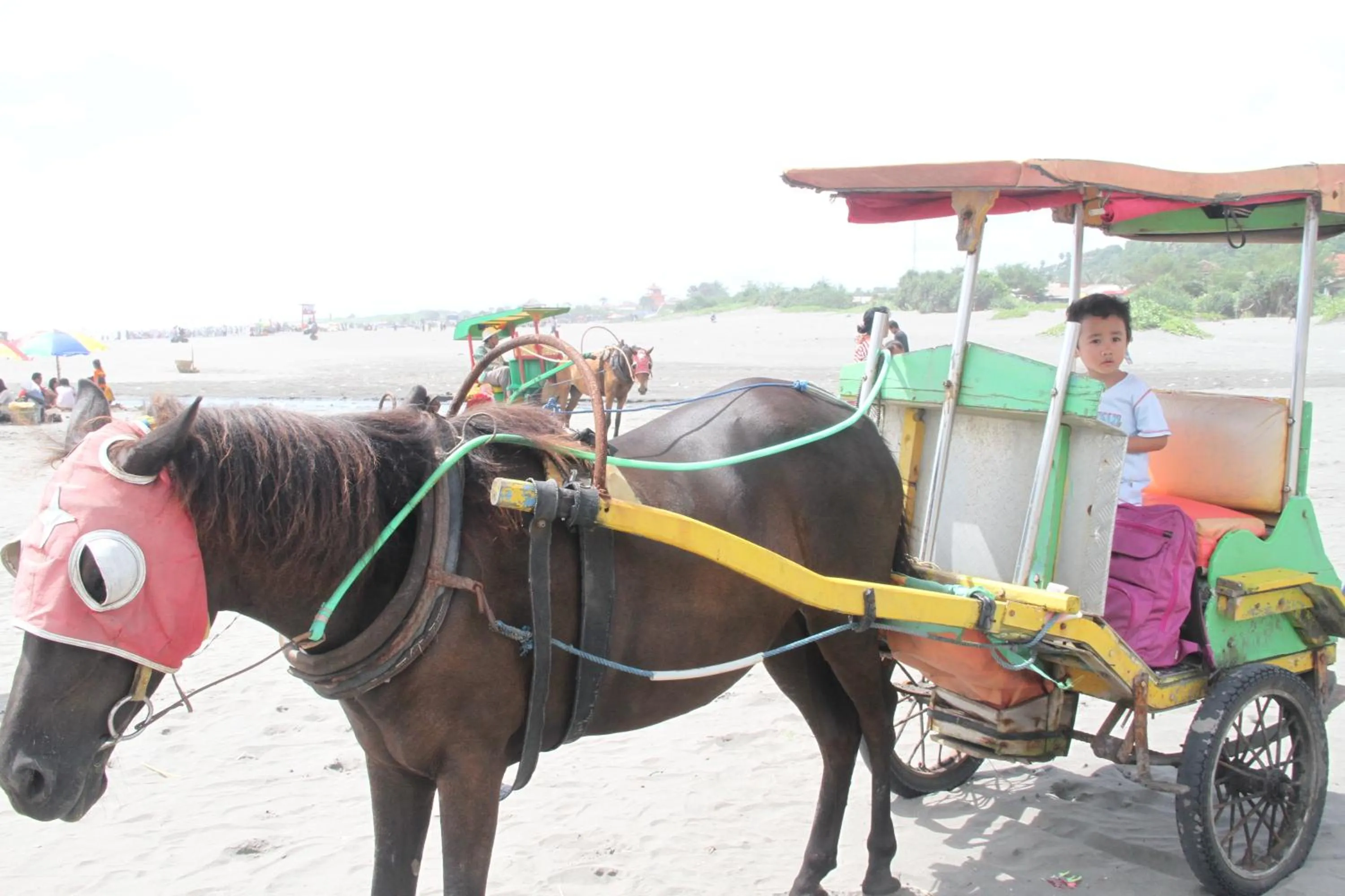 Neighbourhood in Omah Garengpoeng Guest House