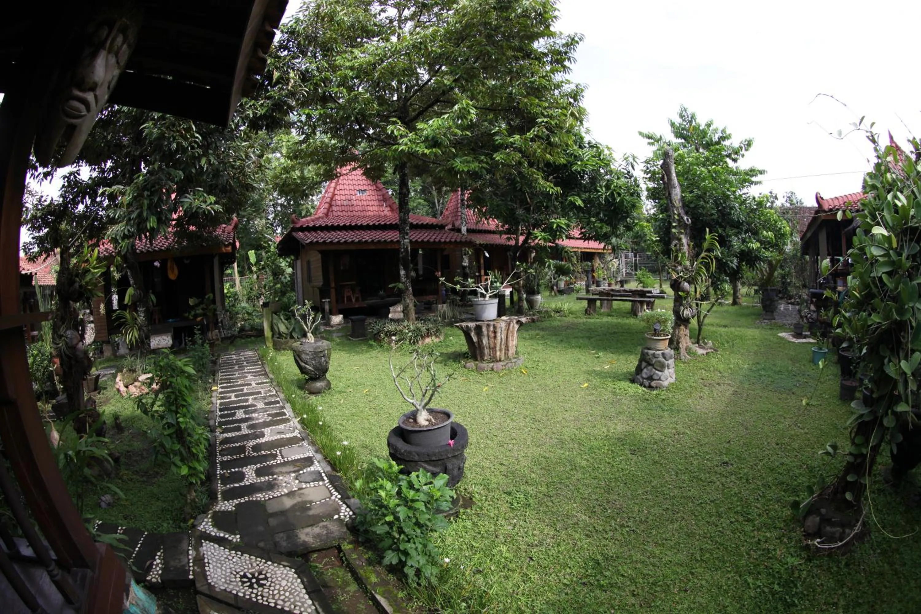 Natural landscape in Omah Garengpoeng Guest House