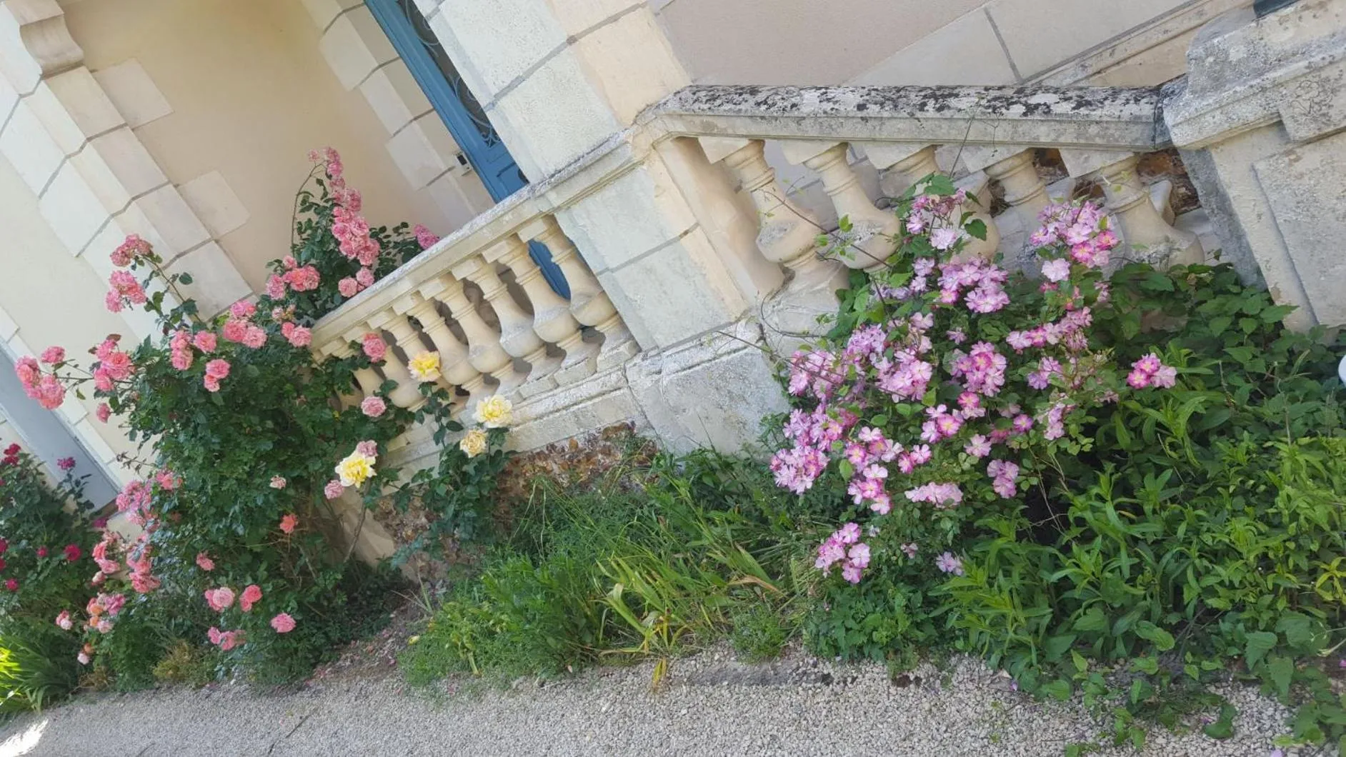 Property building in La Roseraie