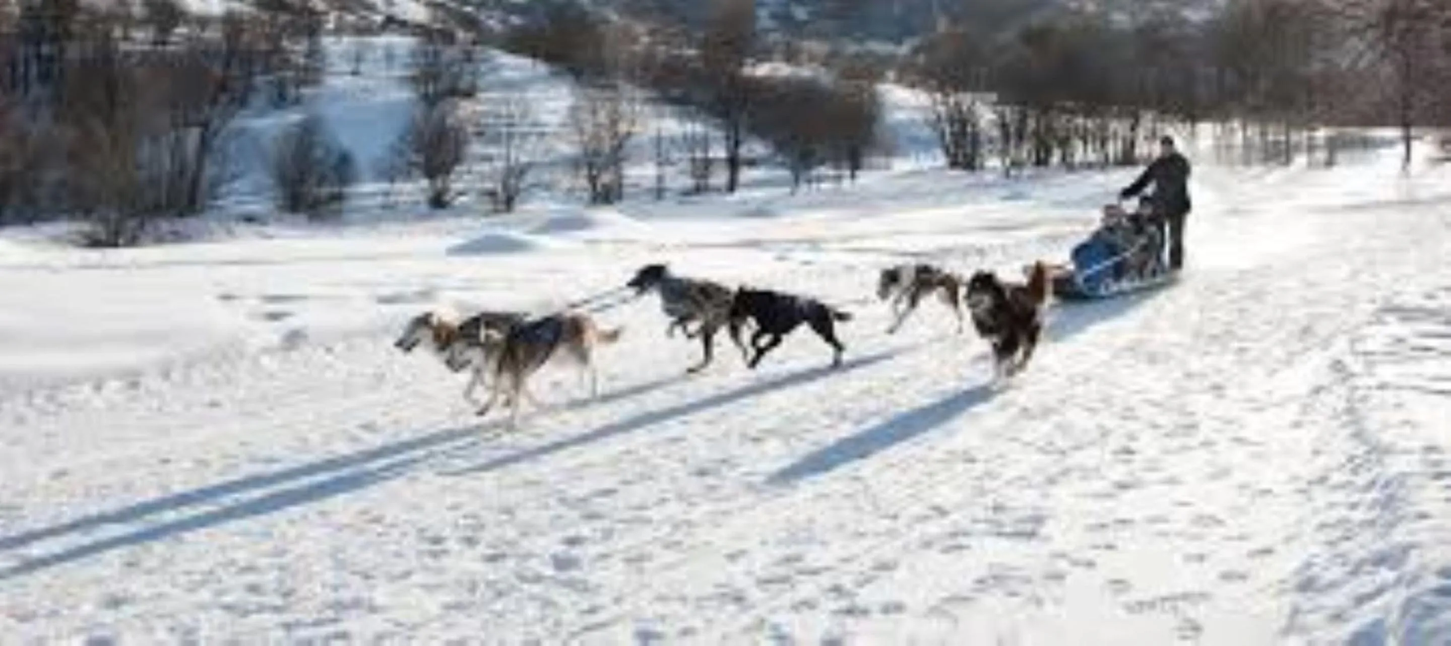Activities in Résidence Lac du Lou