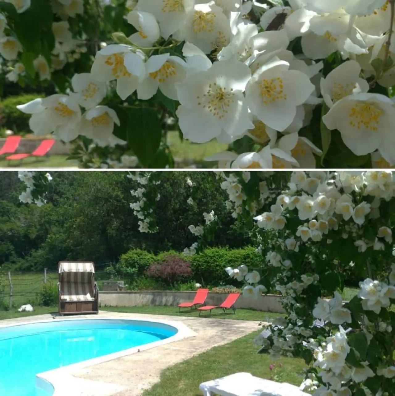 Garden in Chambres d'hôtes La Combe de Redoles