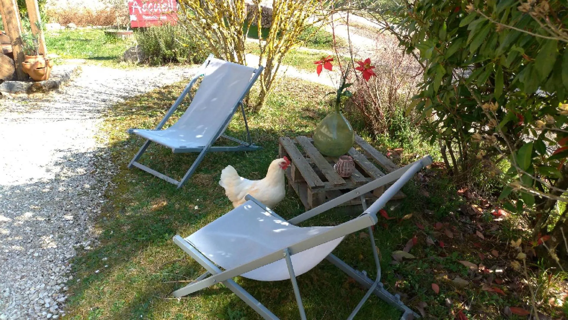 Garden in Chambres d'hôtes La Combe de Redoles