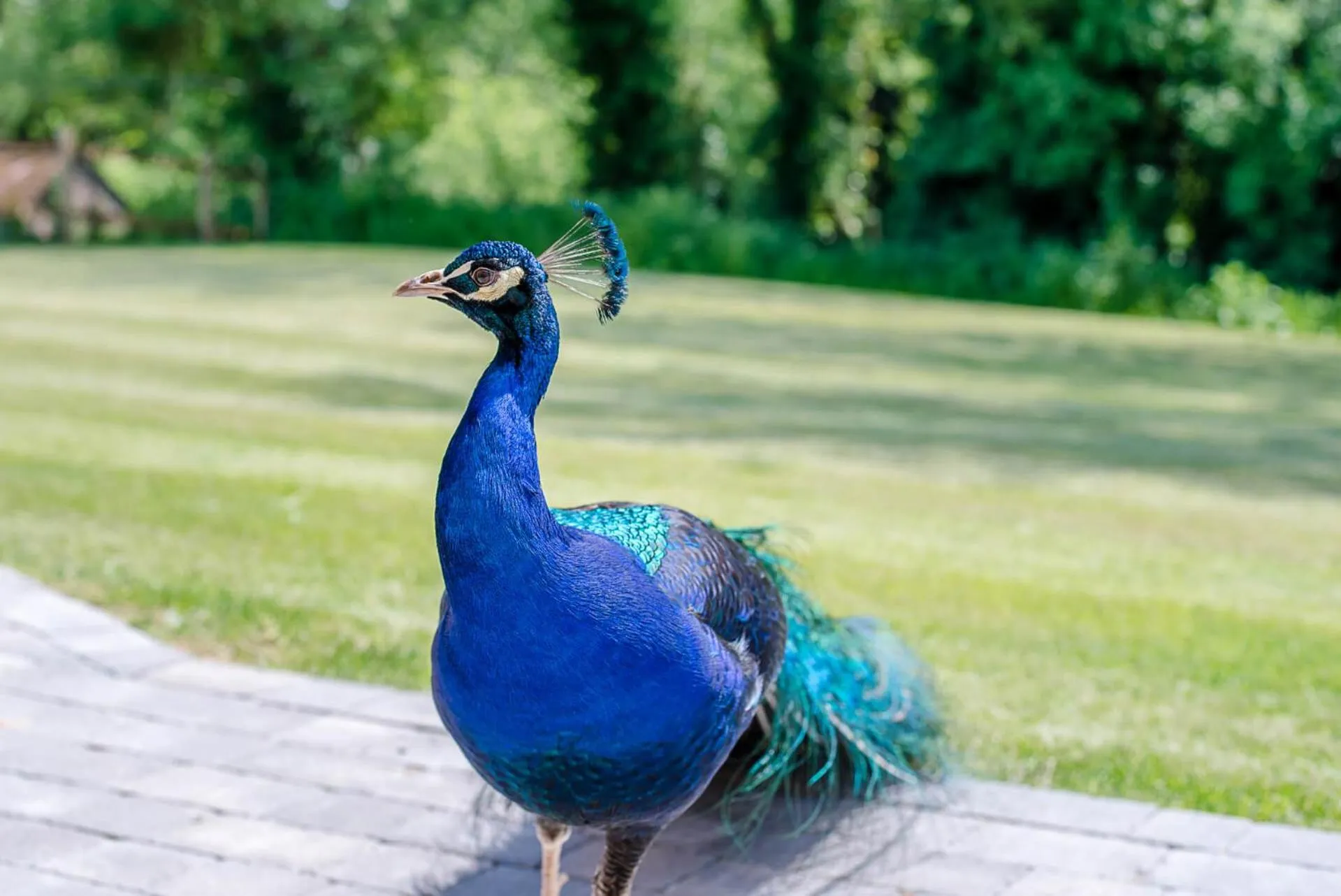 Geoff's Rest at Pond Hall Farm in Hadleigh with Private Hot Tub