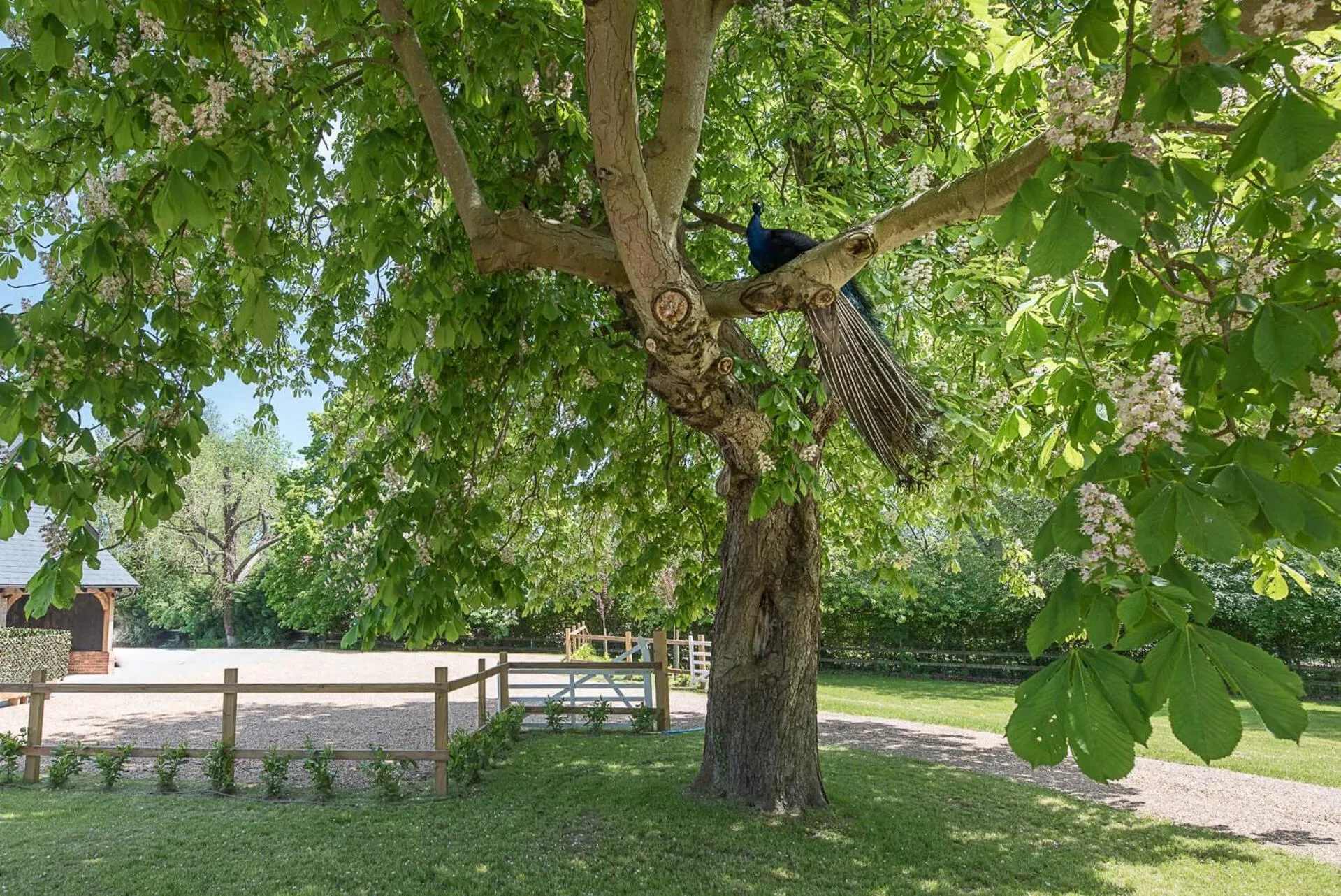 Geoff's Rest at Pond Hall Farm in Hadleigh with Private Hot Tub