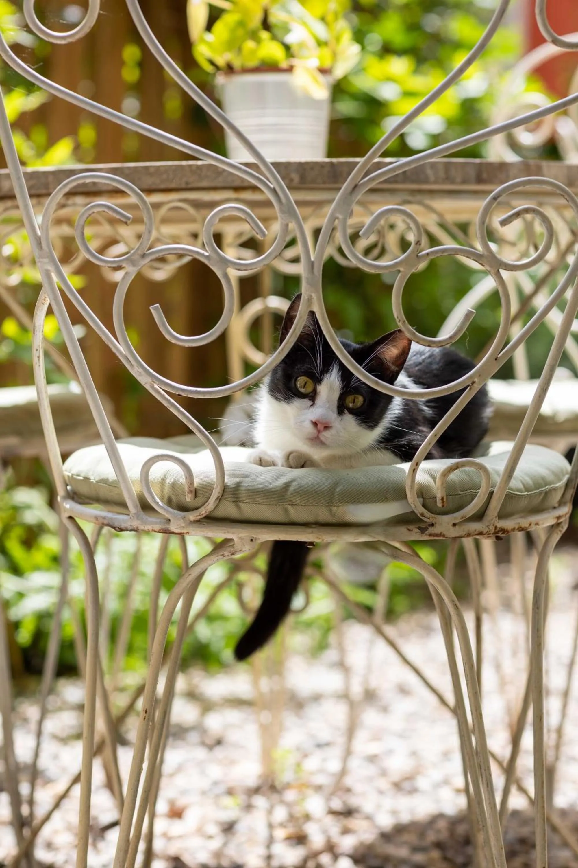 Garden in Secret Garden Firenze B&B