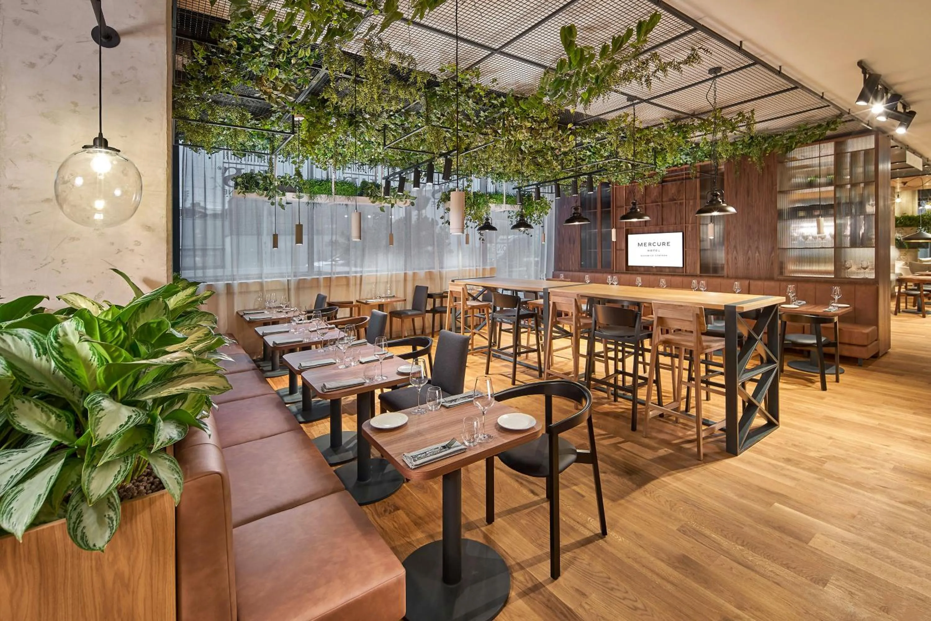 Restaurant/places to eat in Mercure Katowice Centrum