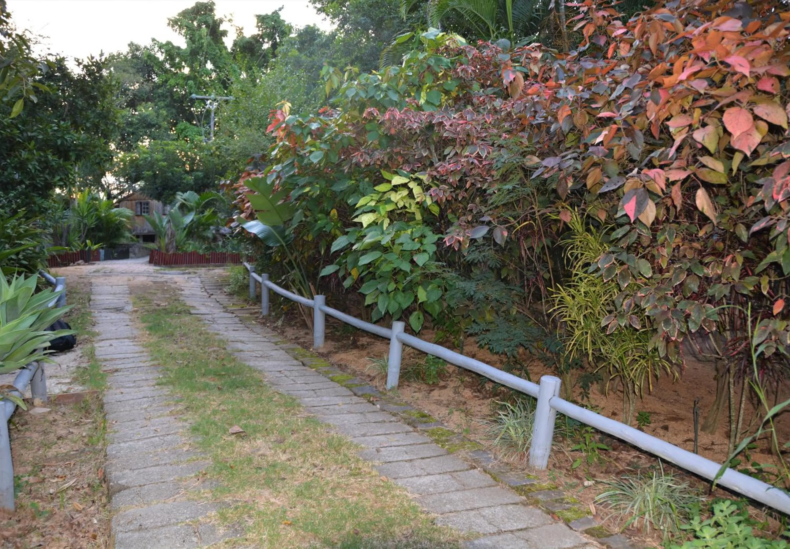 Garden in Hazyview Adventure Backpackers