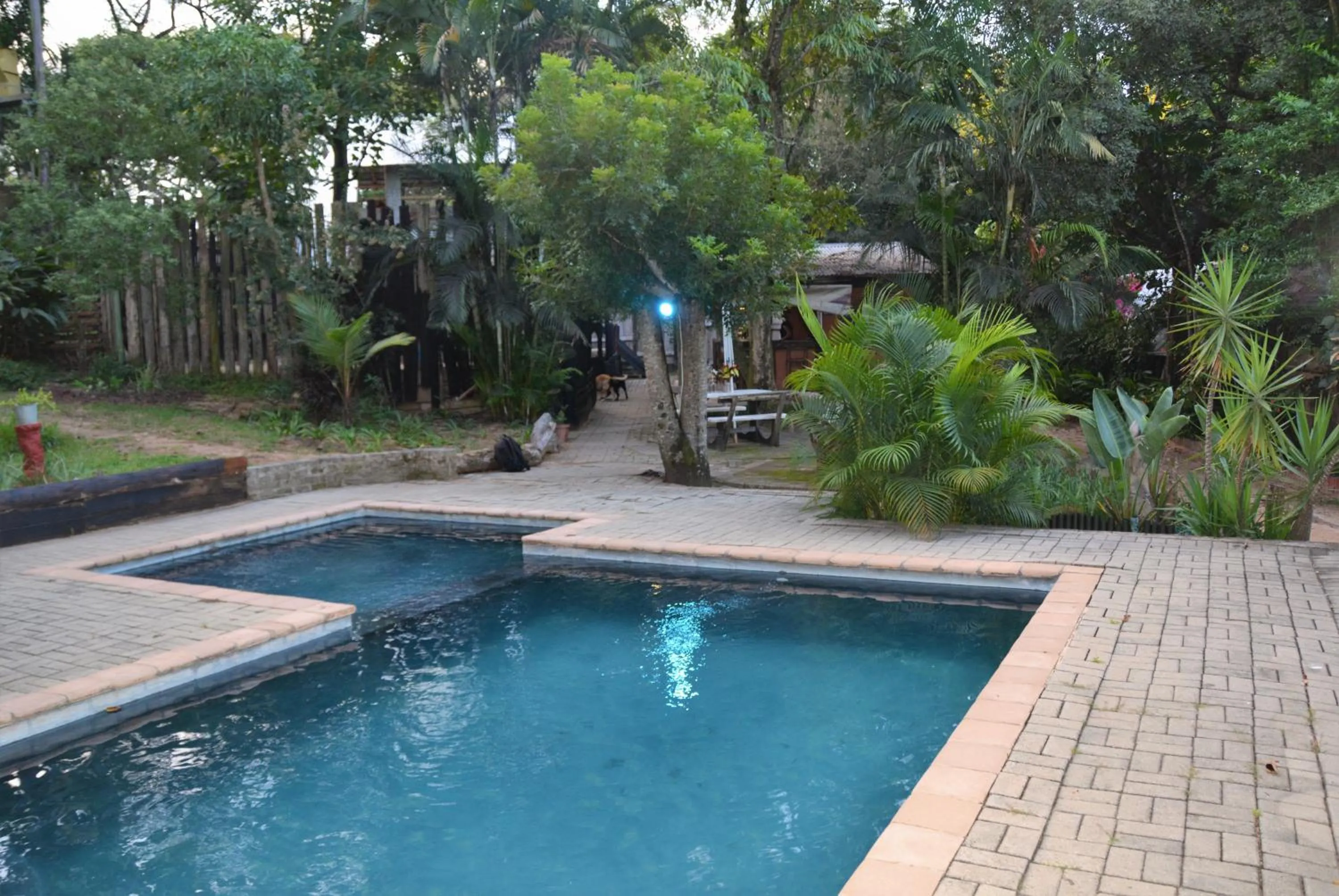 Swimming pool in Hazyview Adventure Backpackers