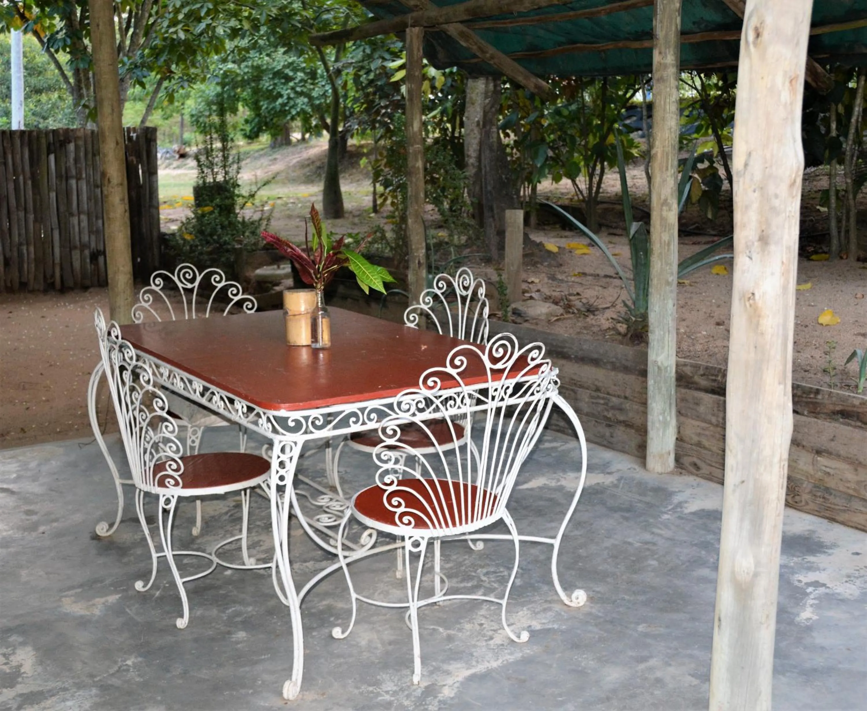 Patio in Hazyview Adventure Backpackers