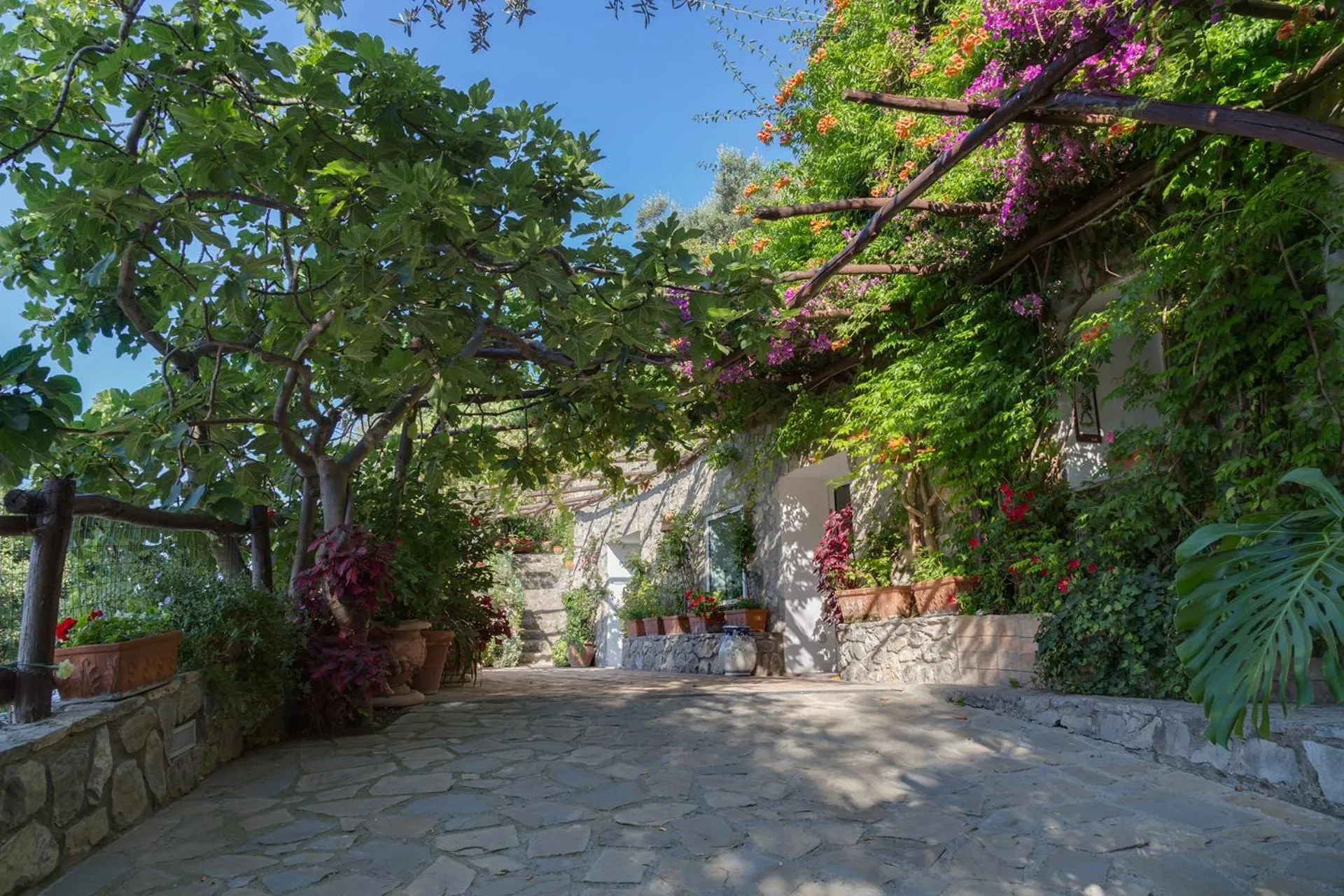 Property building in Amore Rentals - Villa Era