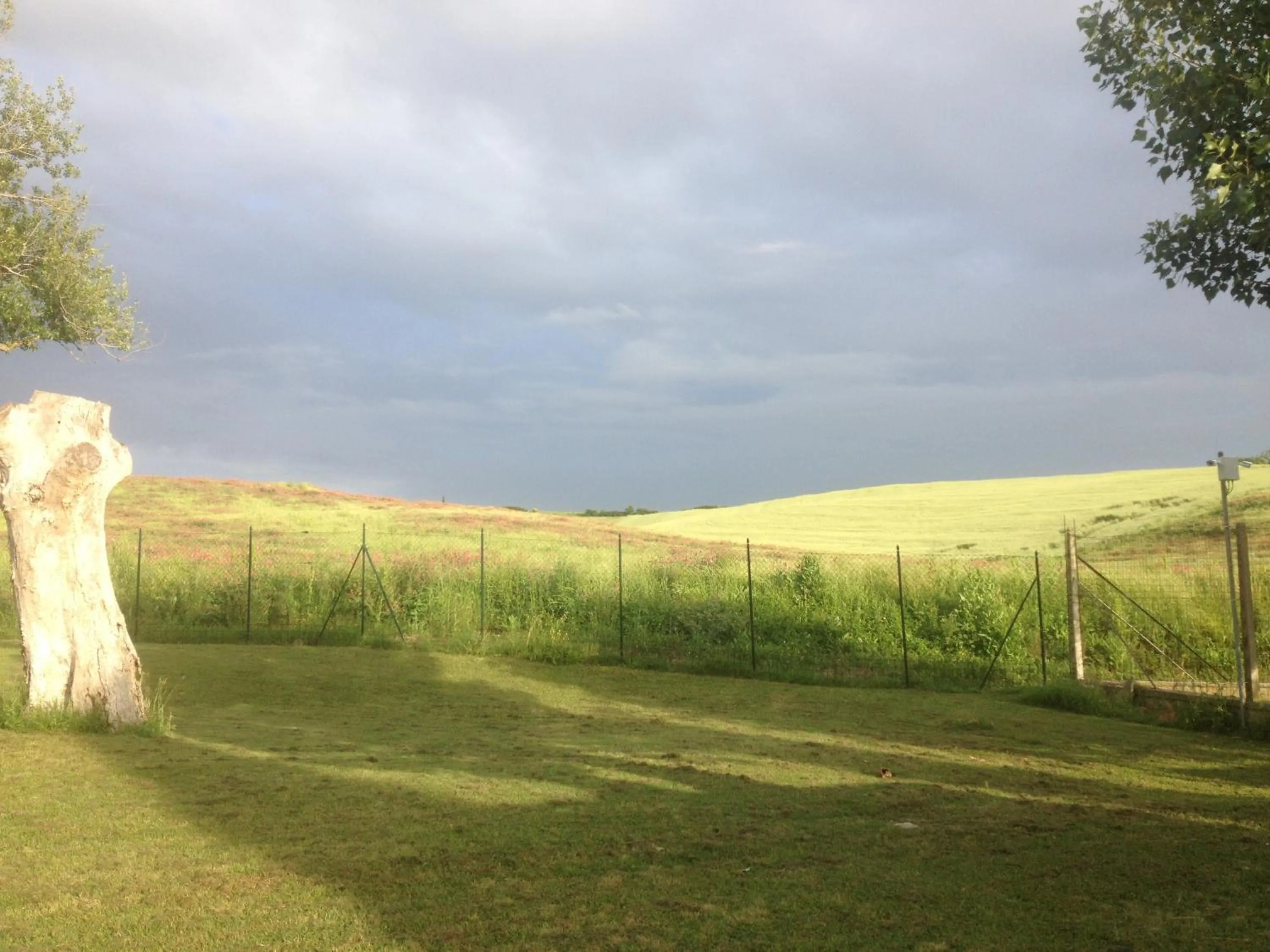 Natural landscape in Podere Il Mulino