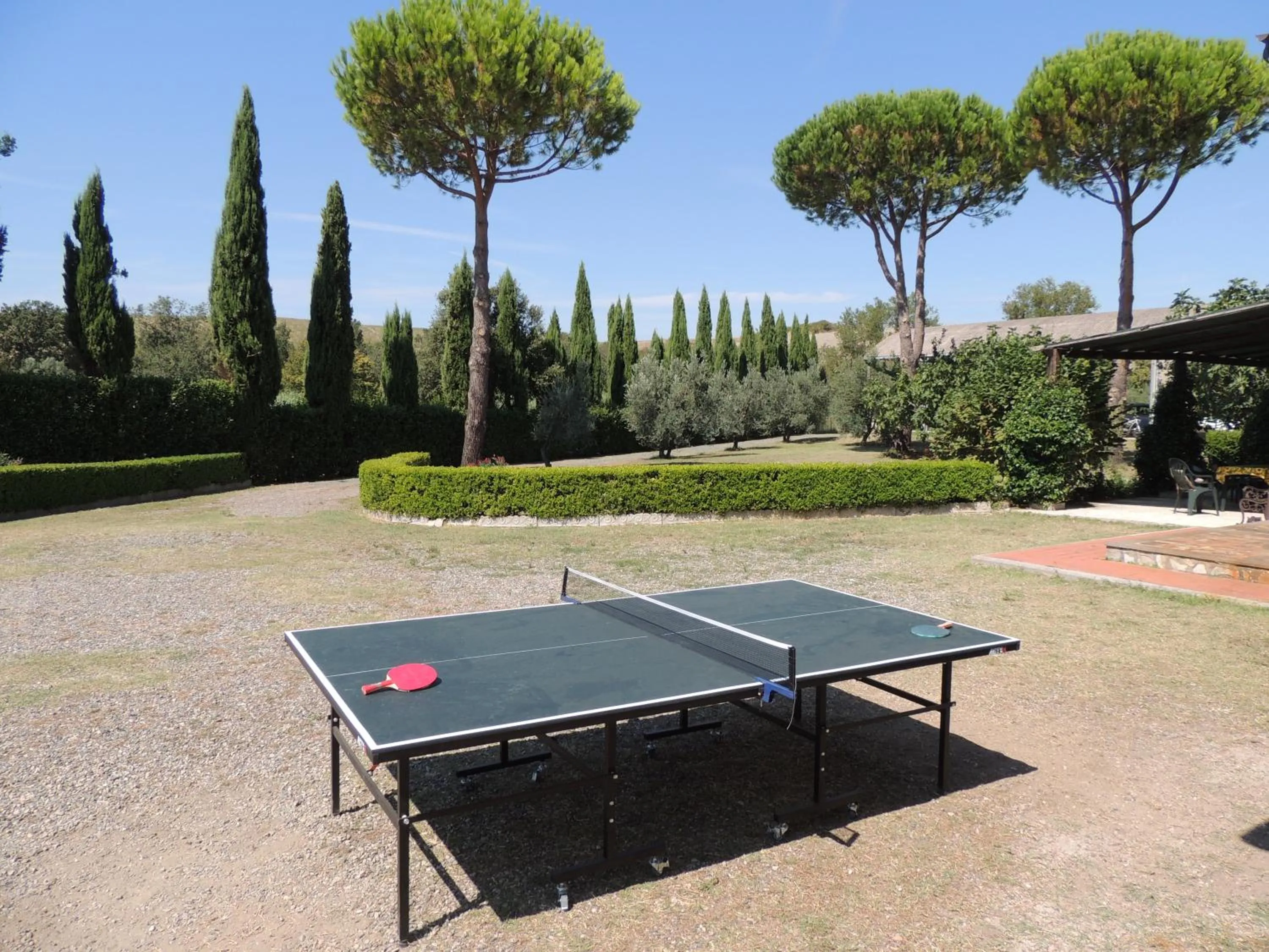 Table tennis in Podere Il Mulino