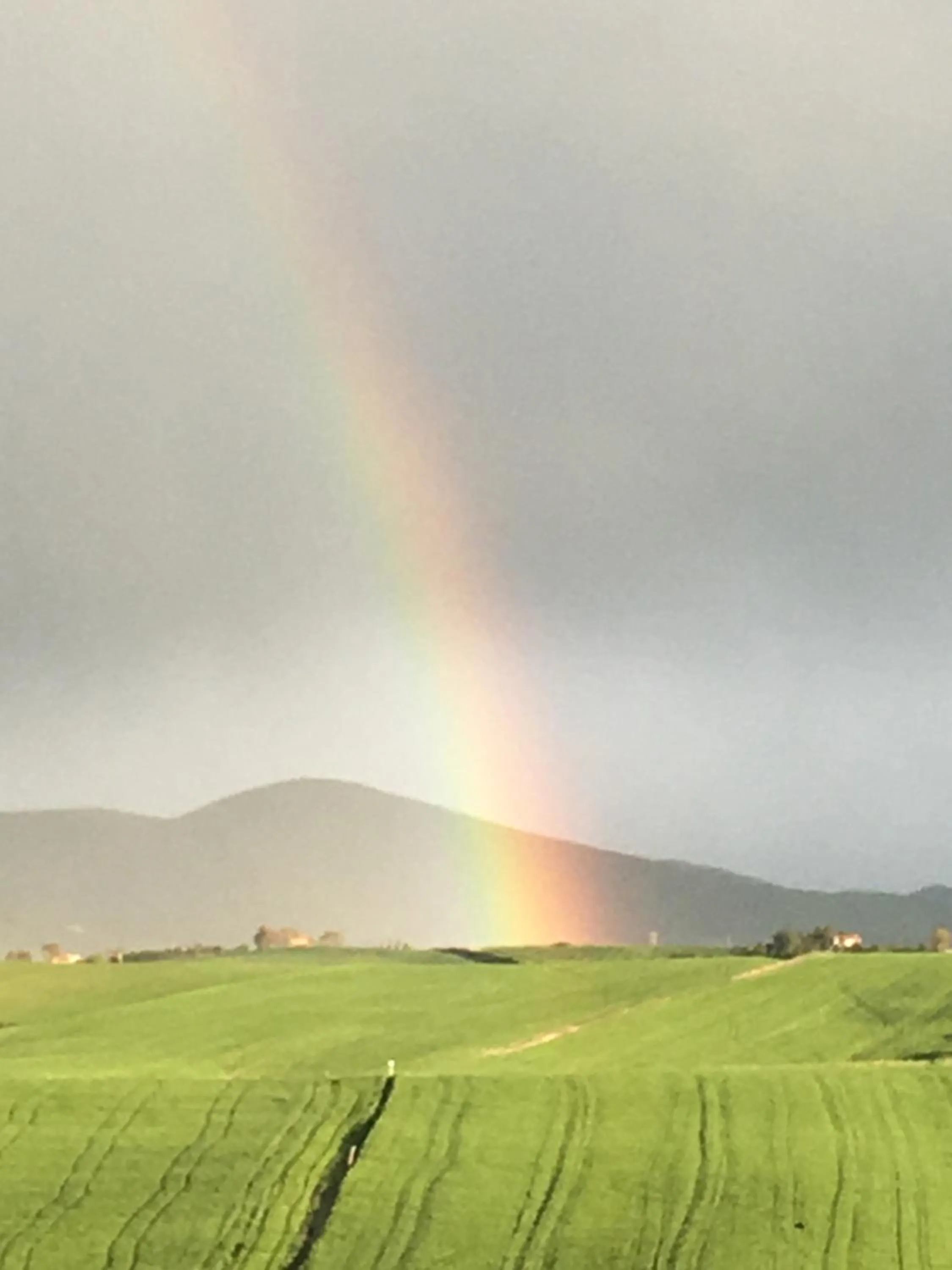 On site in Podere Il Mulino