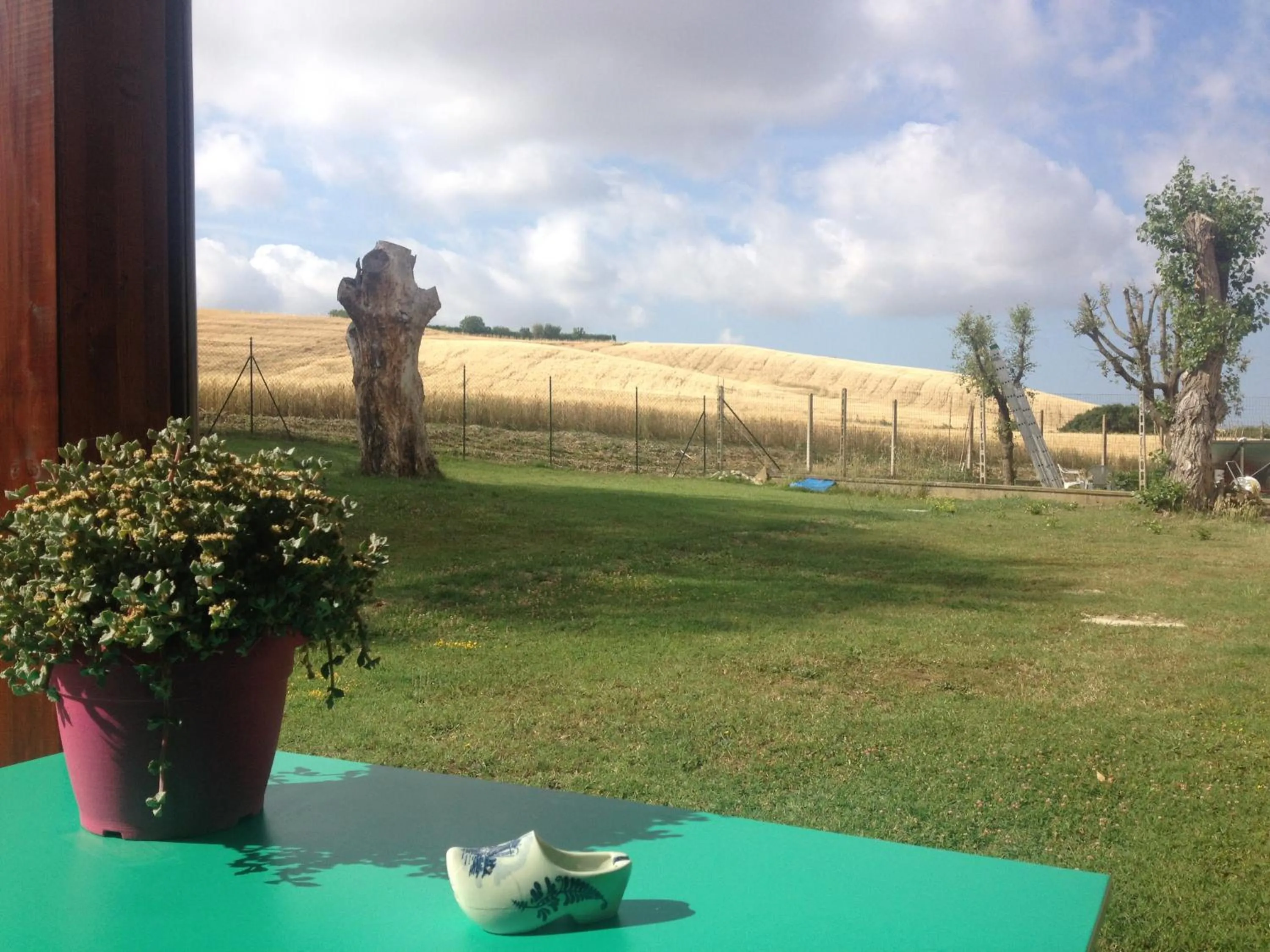 Garden view in Podere Il Mulino