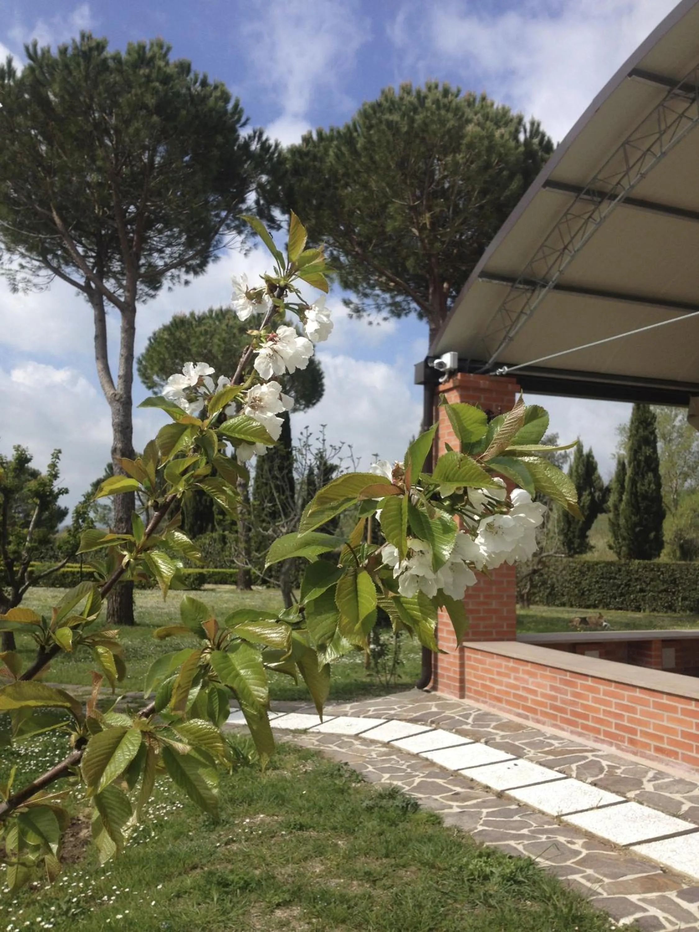 Garden in Podere Il Mulino