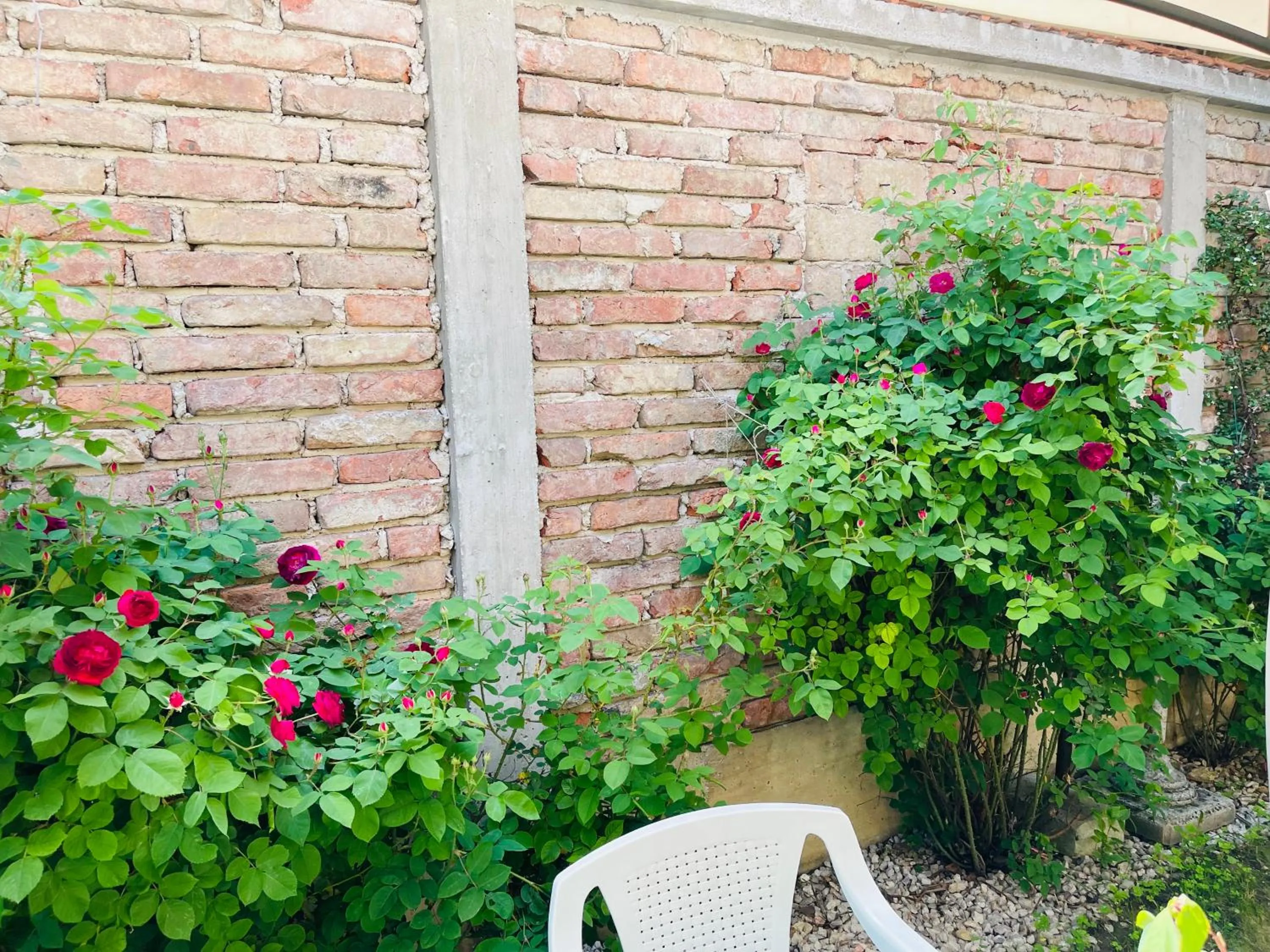 Apartman Indira