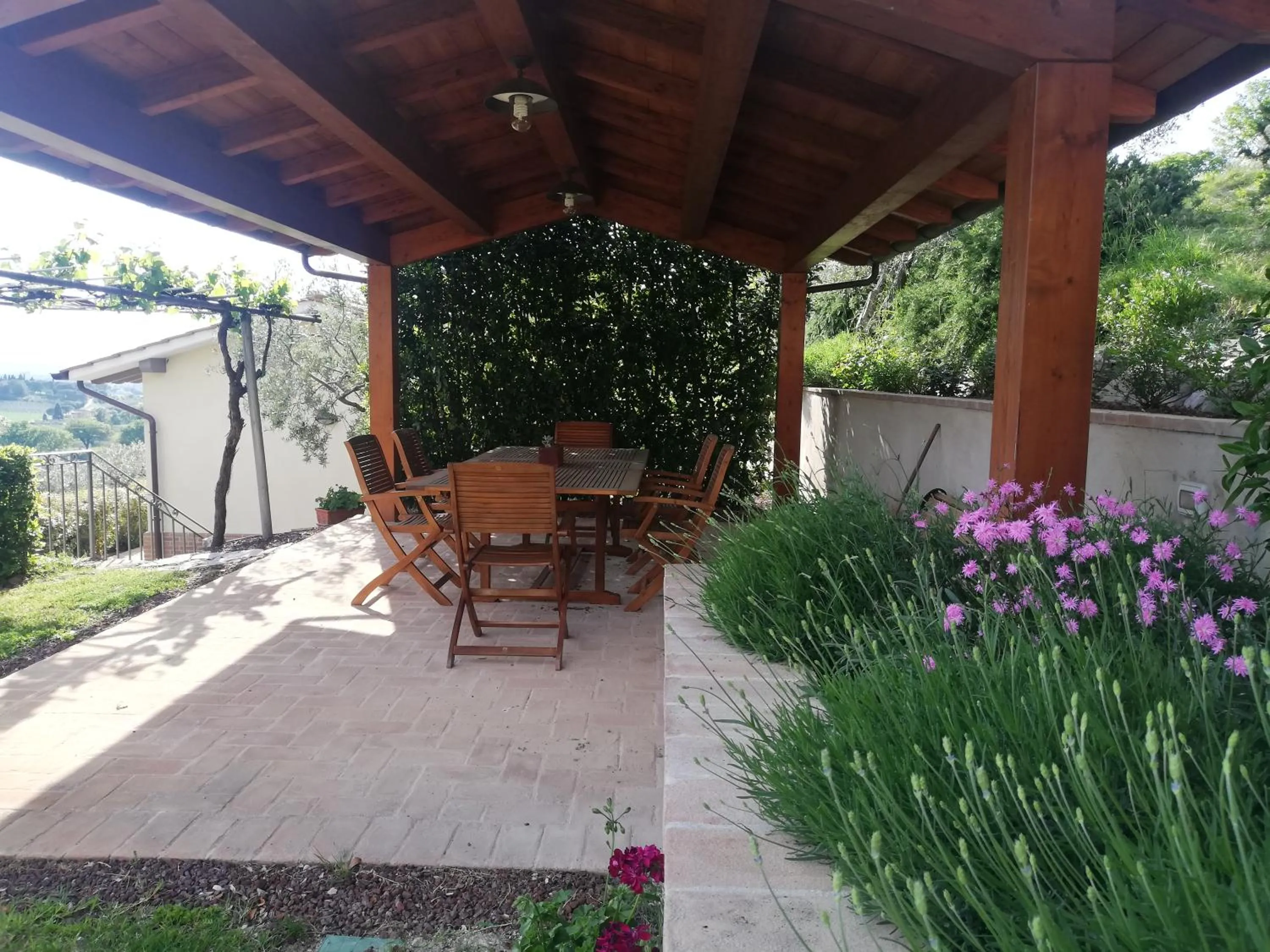 La Casa Tra Gli Ulivi