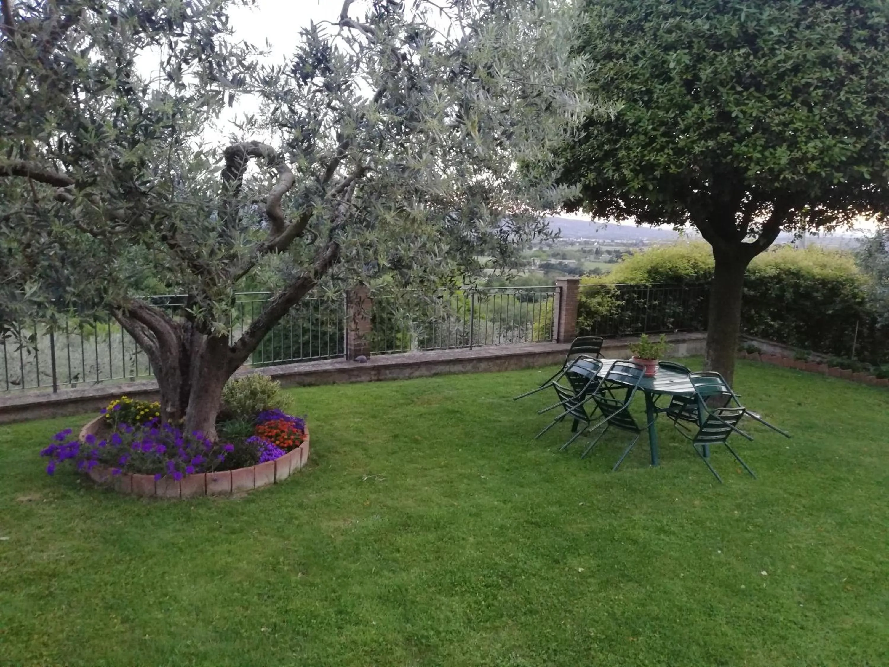 La Casa Tra Gli Ulivi