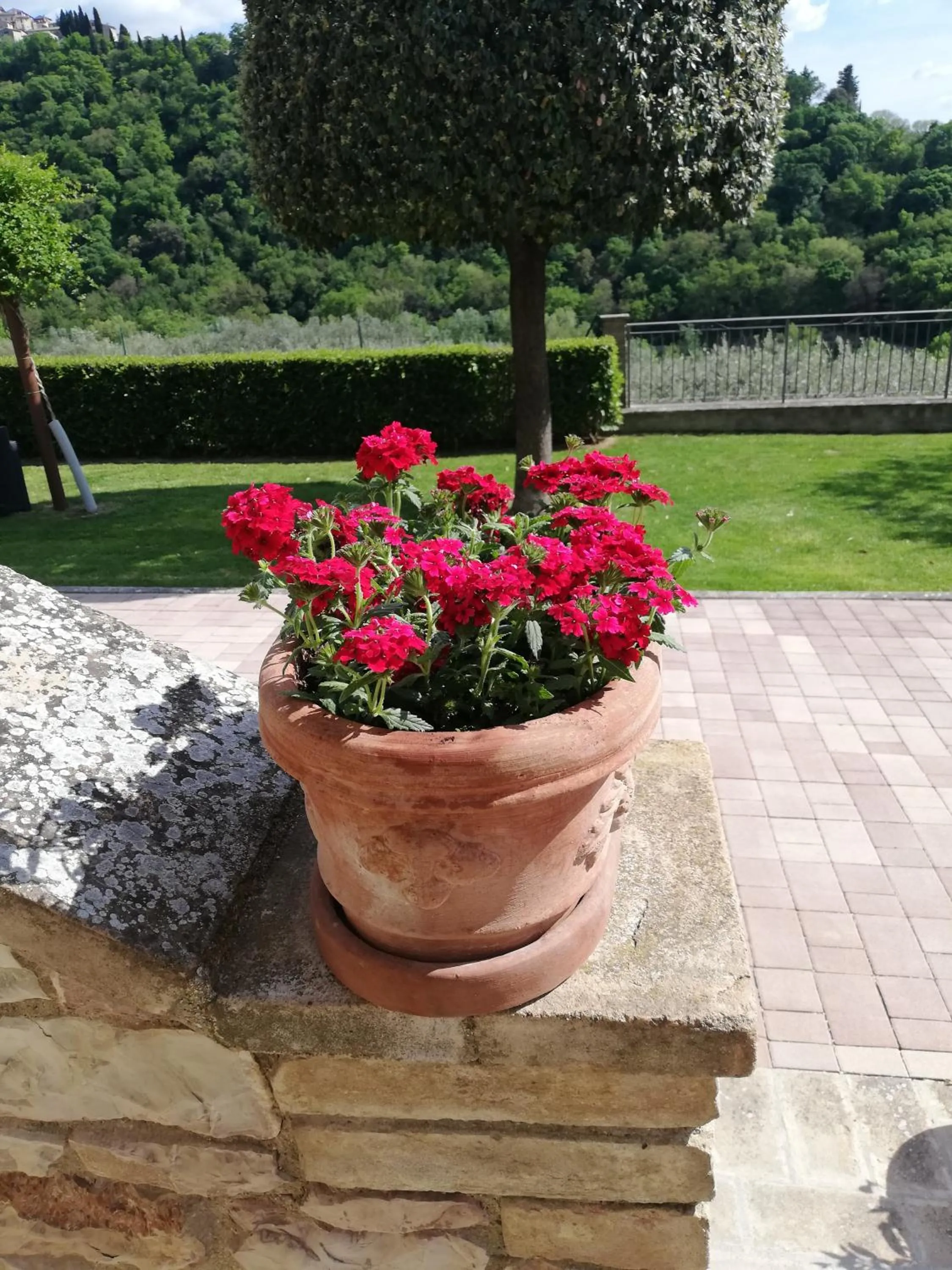 La Casa Tra Gli Ulivi