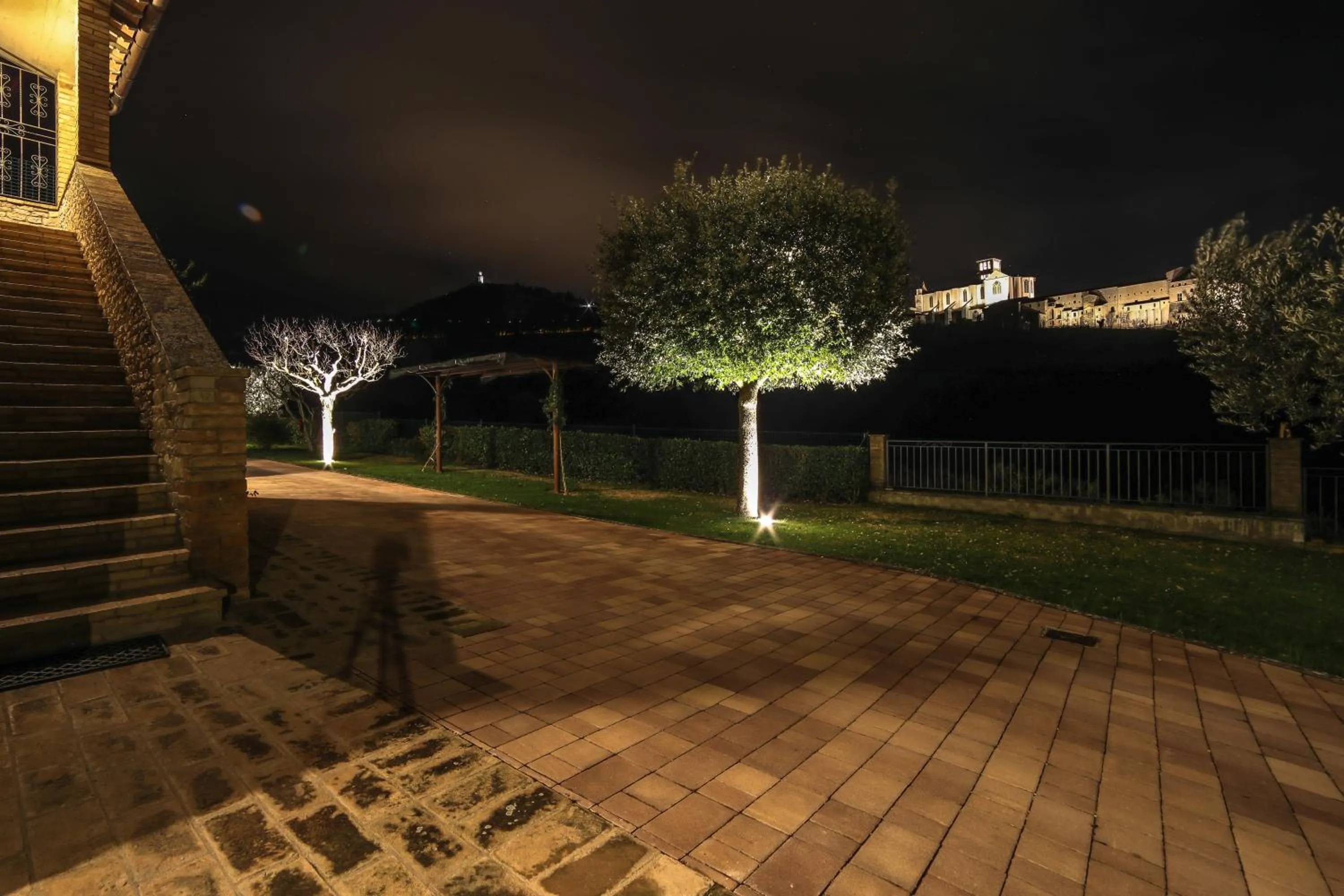 La Casa Tra Gli Ulivi