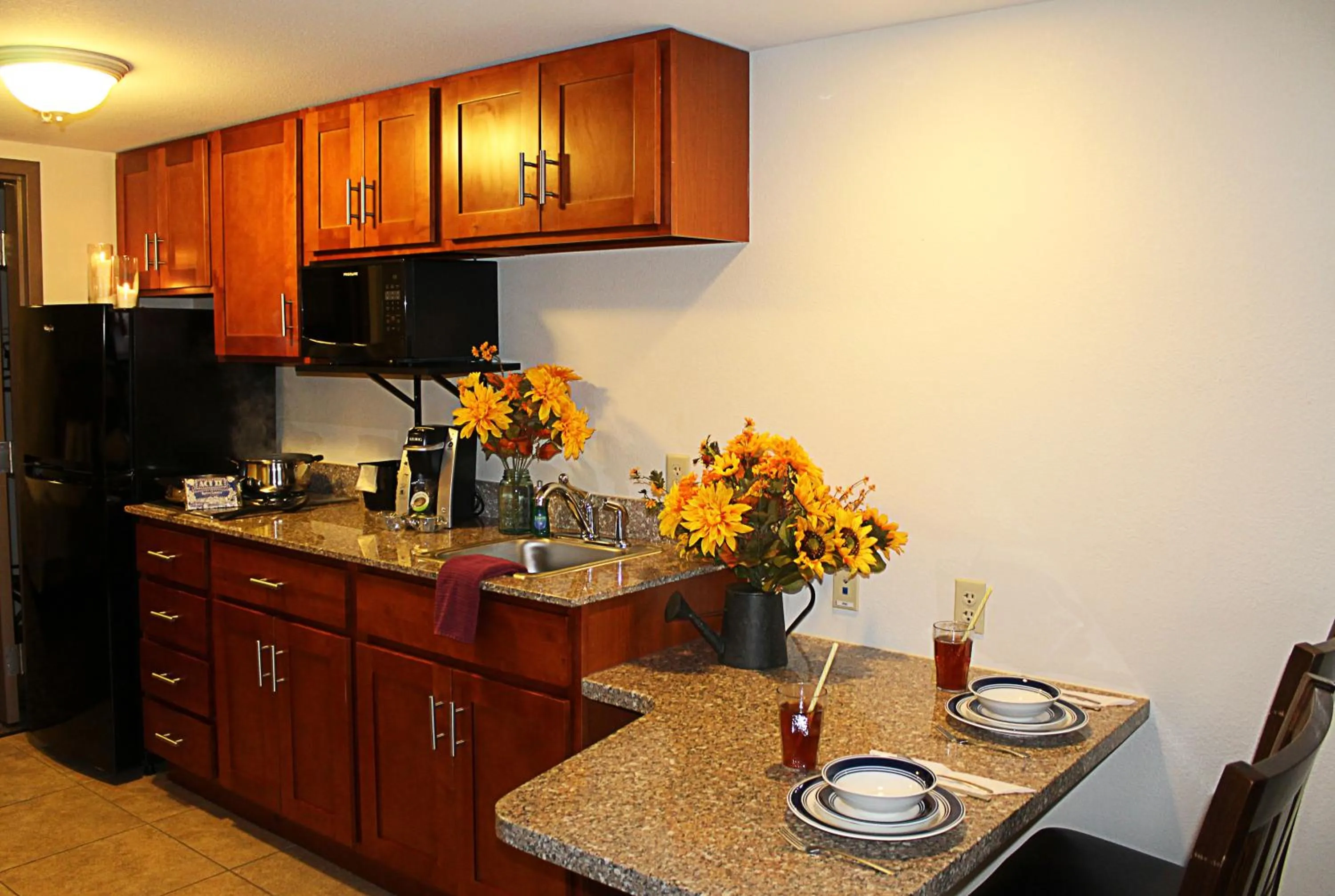 Kitchen or kitchenette in Crystal Springs Inn and Suites