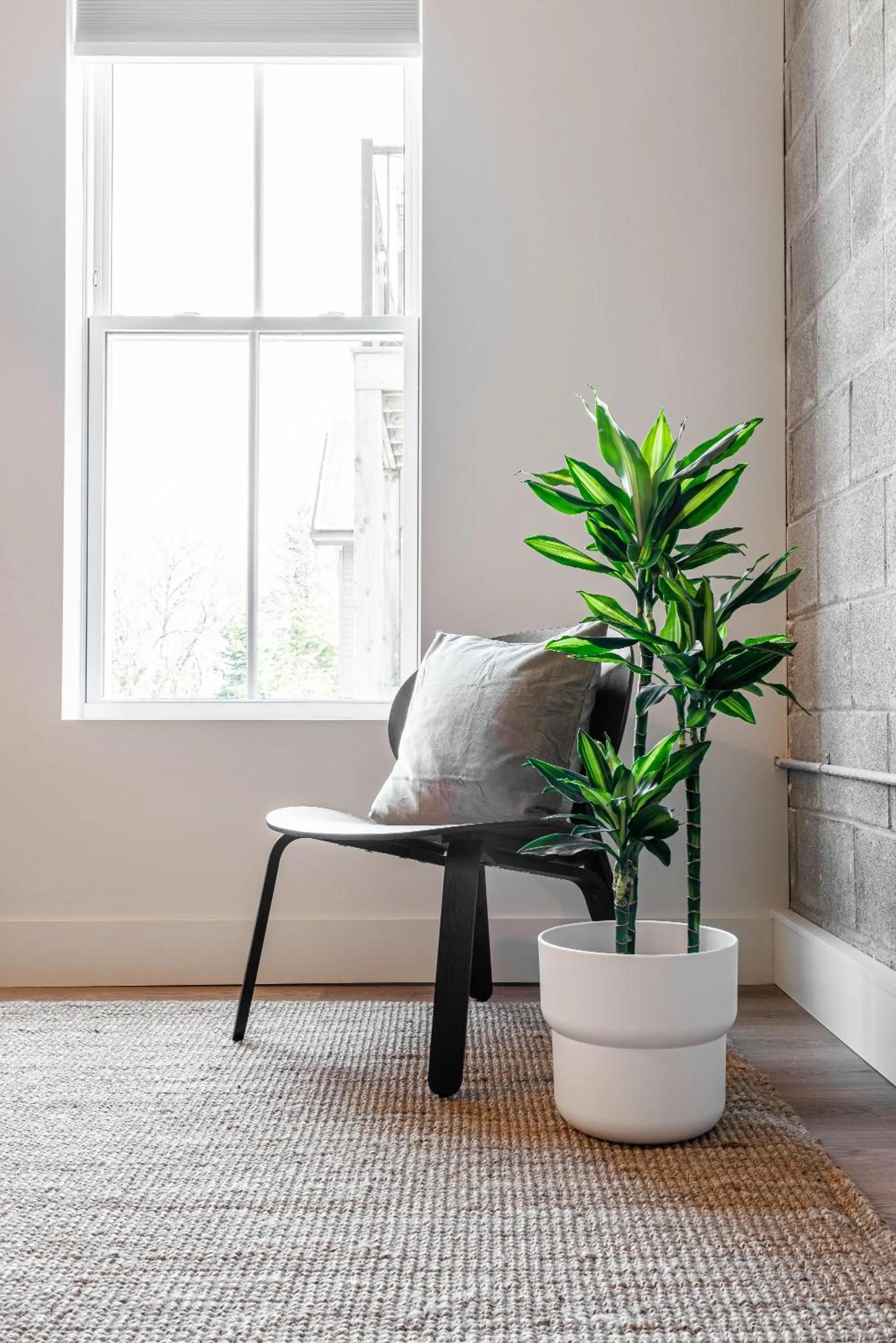 Seating area in Brewery Park Hotel