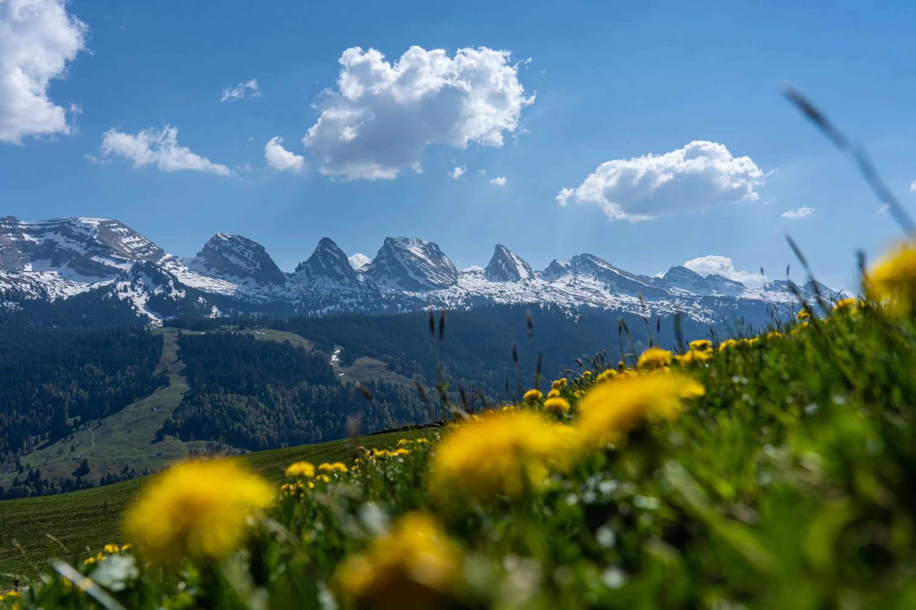 Nearby landmark in Hotel Sternen Unterwasser