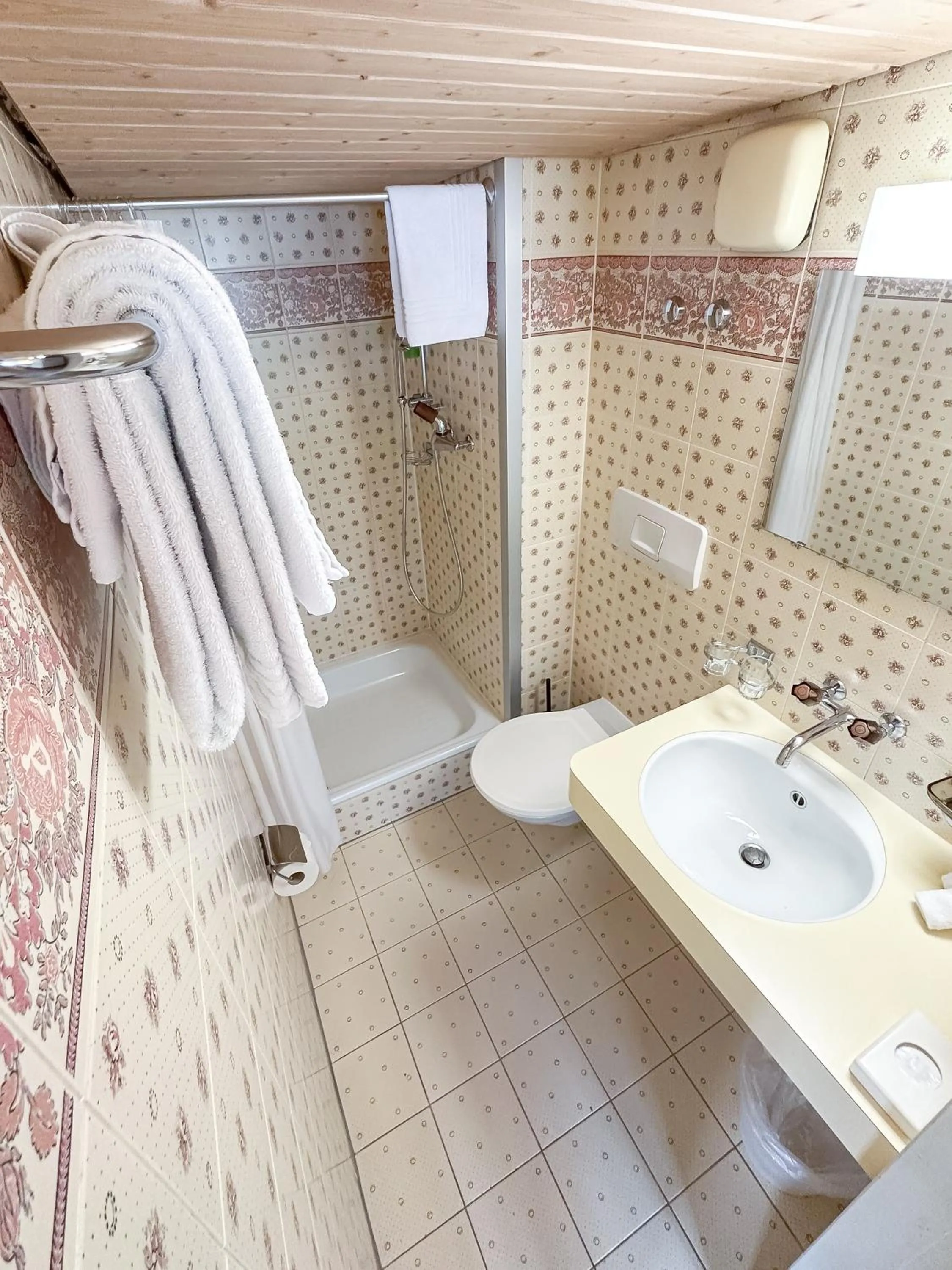 Toilet in Hotel Sternen Unterwasser