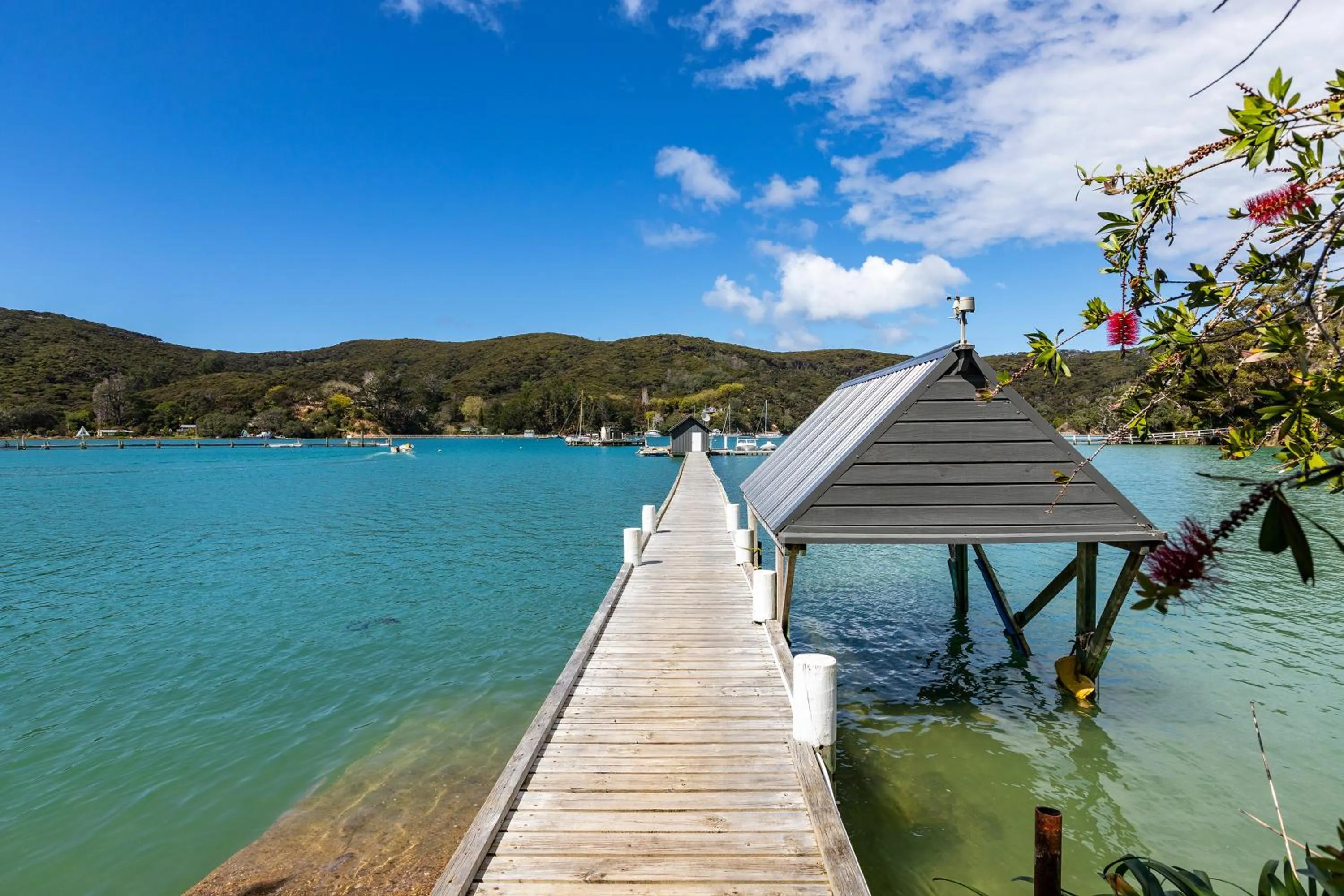 Natural landscape in Kawau Lodge Boutique Resort