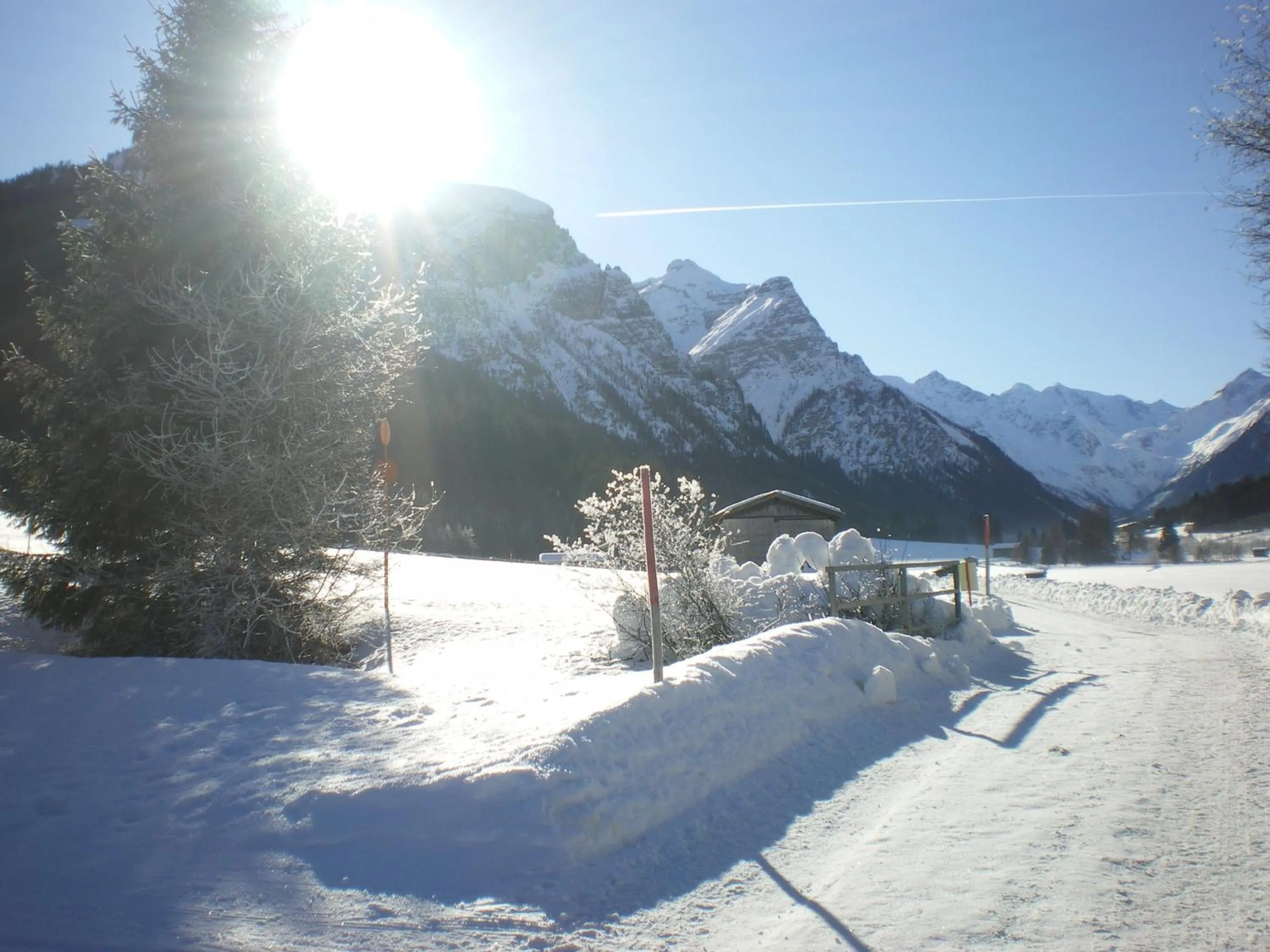 Area and facilities in Hotel Zita