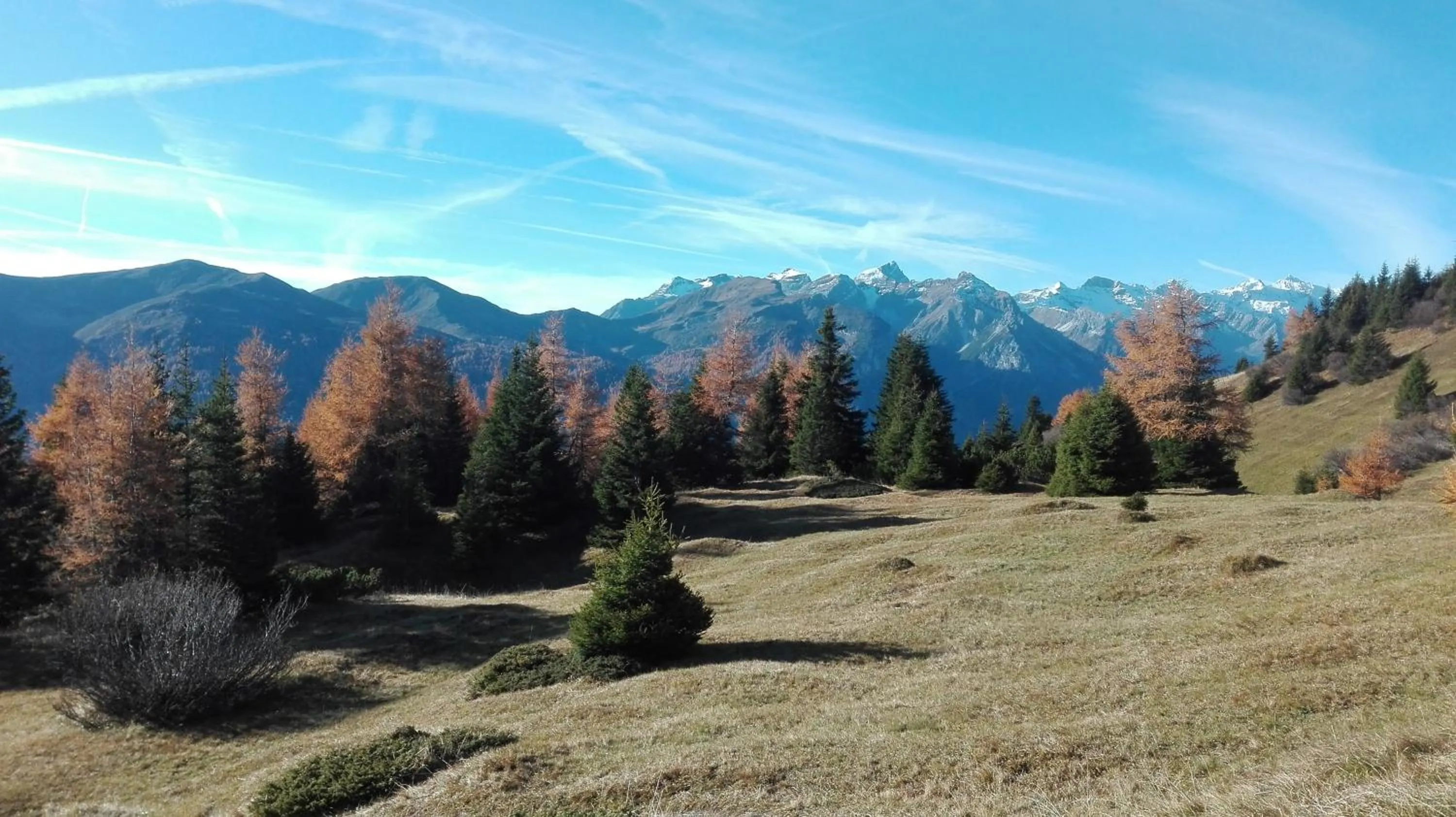 Autumn in Hotel Zita