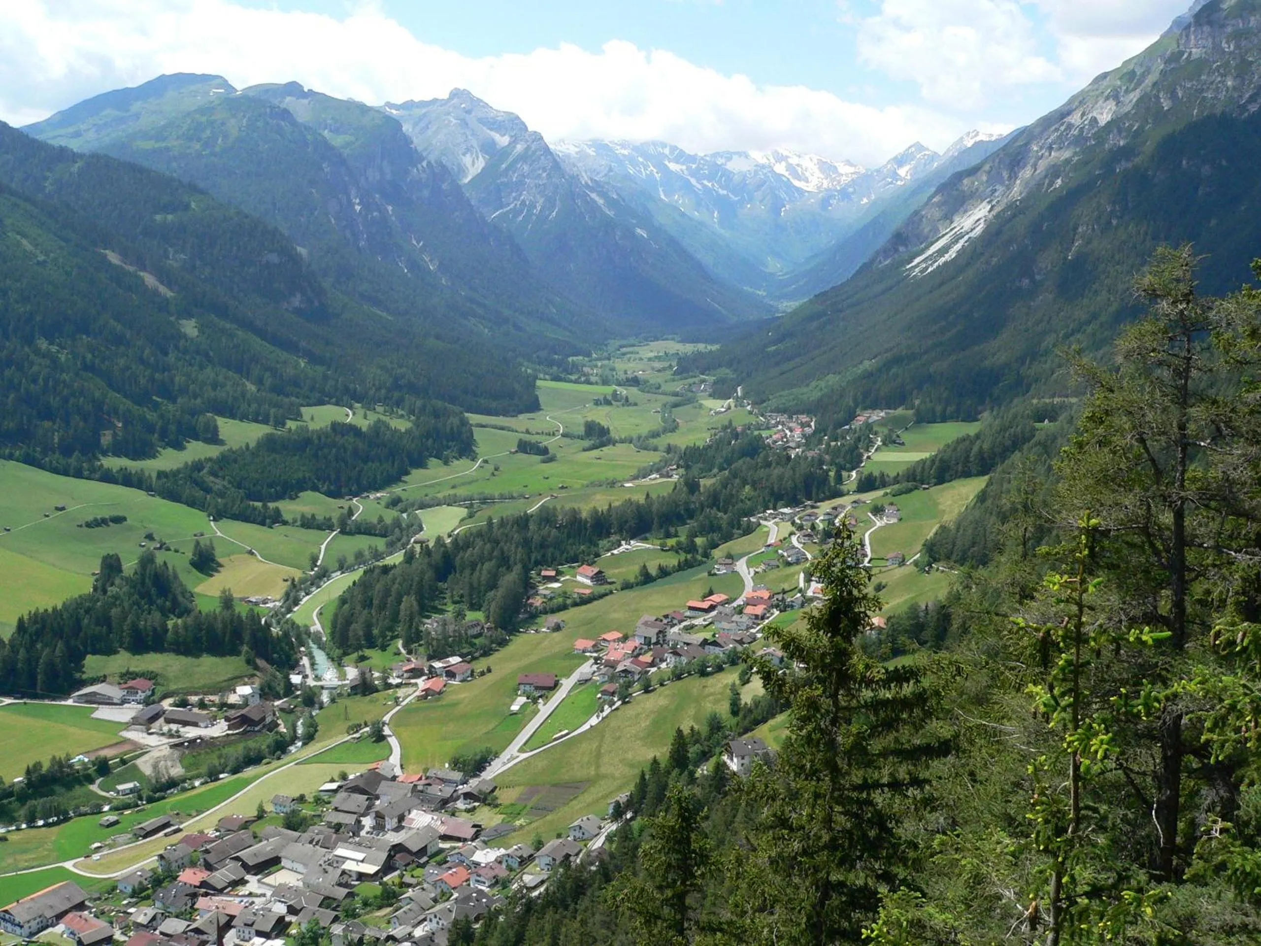 Natural landscape in Hotel Zita
