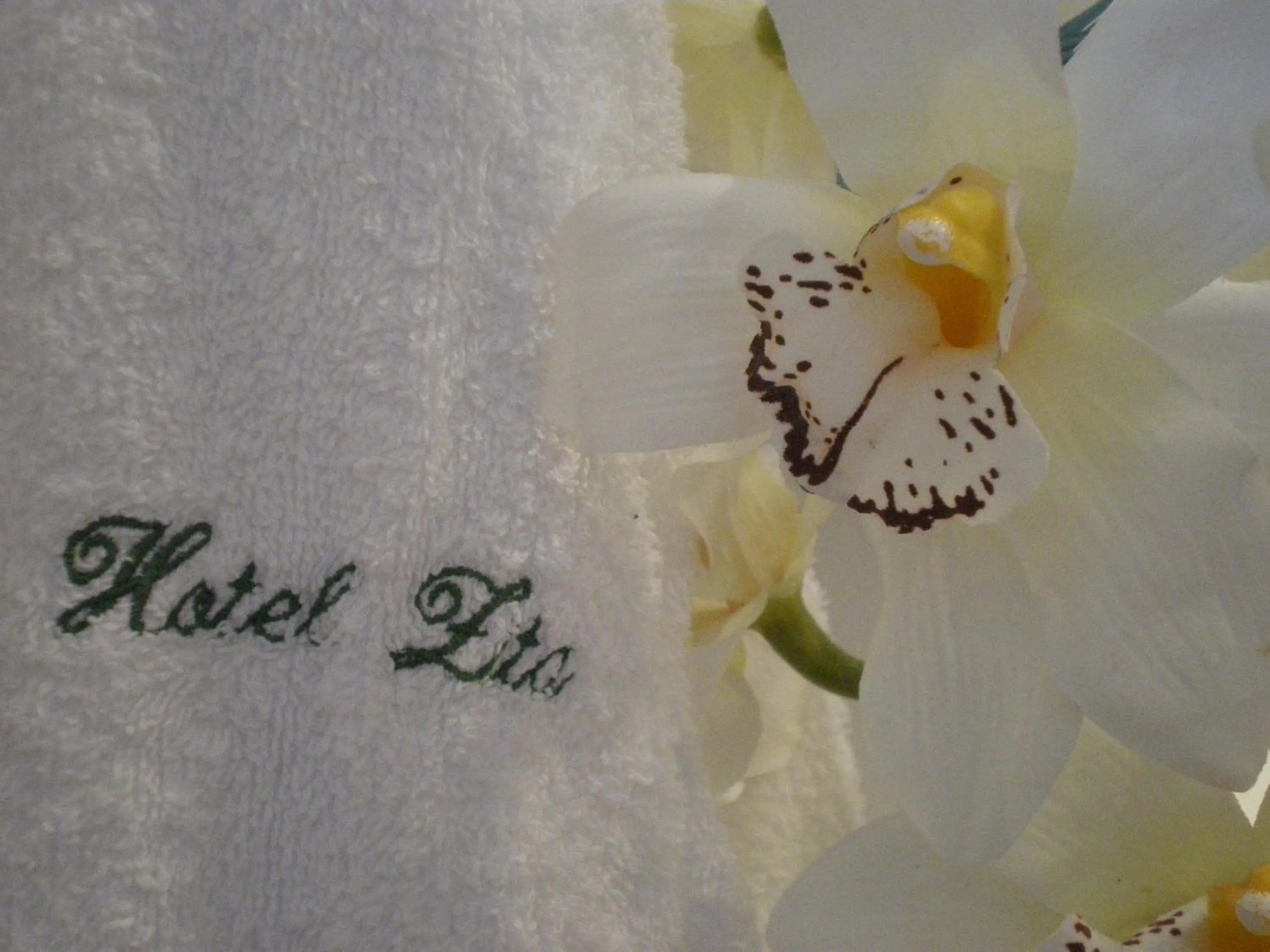 Decorative detail in Hotel Zita