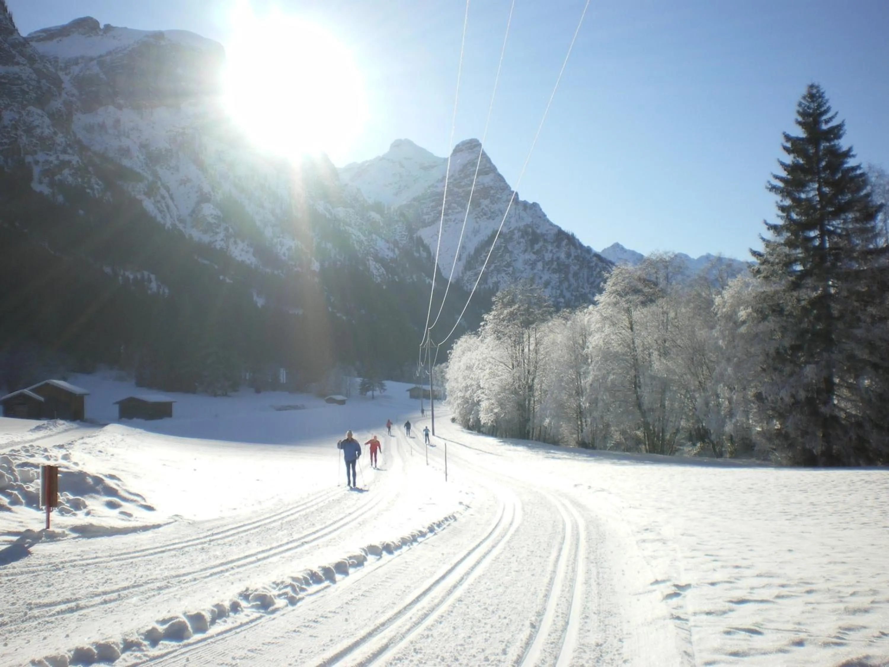 Area and facilities in Hotel Zita