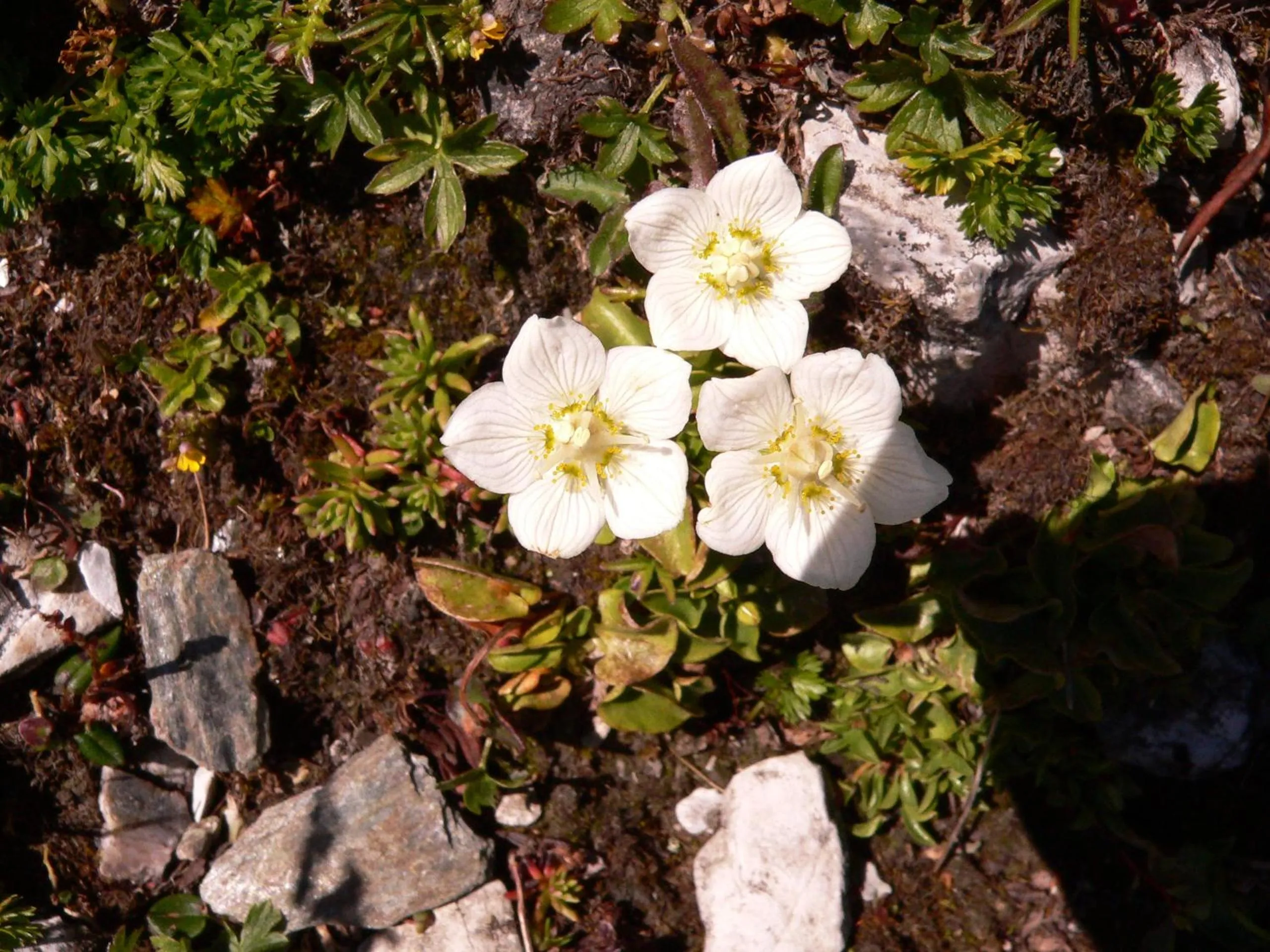 Area and facilities in Hotel Zita