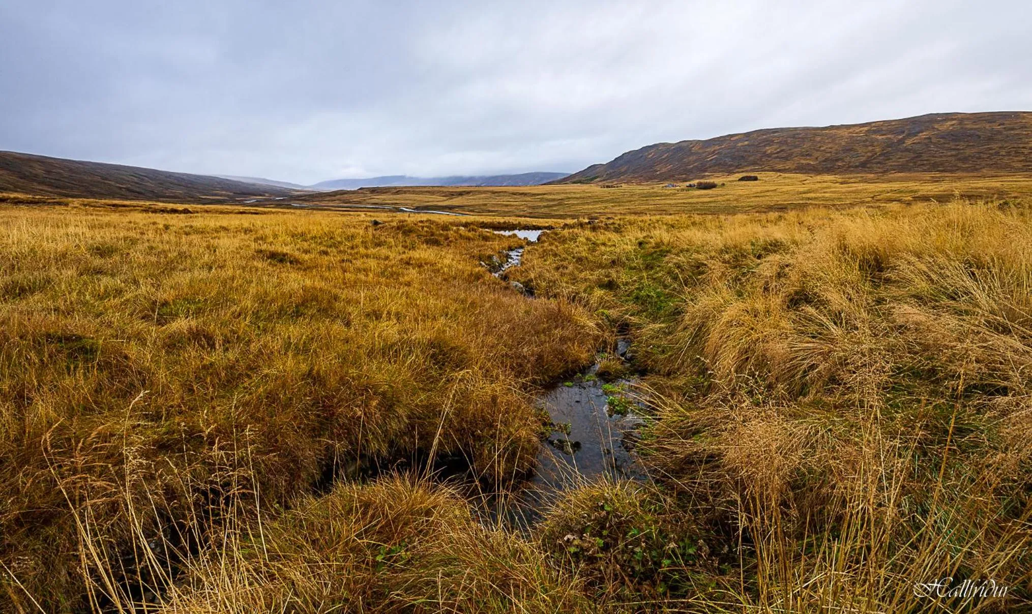 Natural landscape in Basalt Hotel