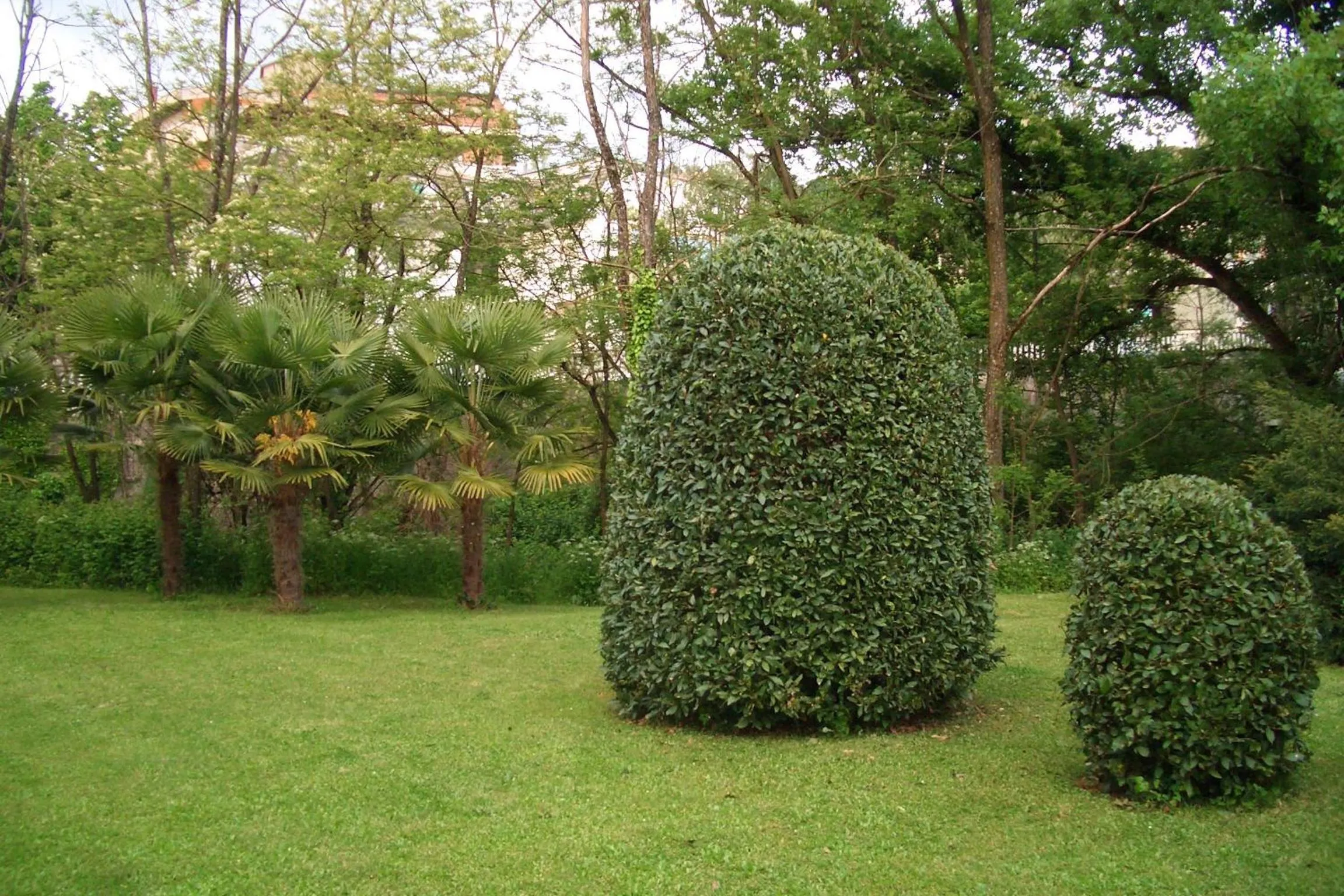 Garden in King Hotel