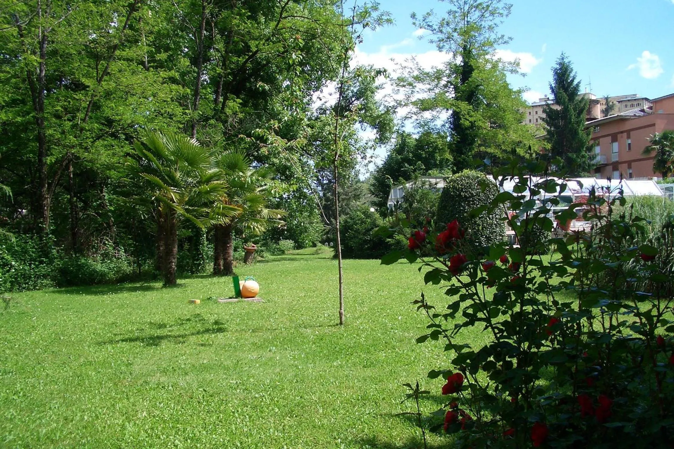 Garden in King Hotel